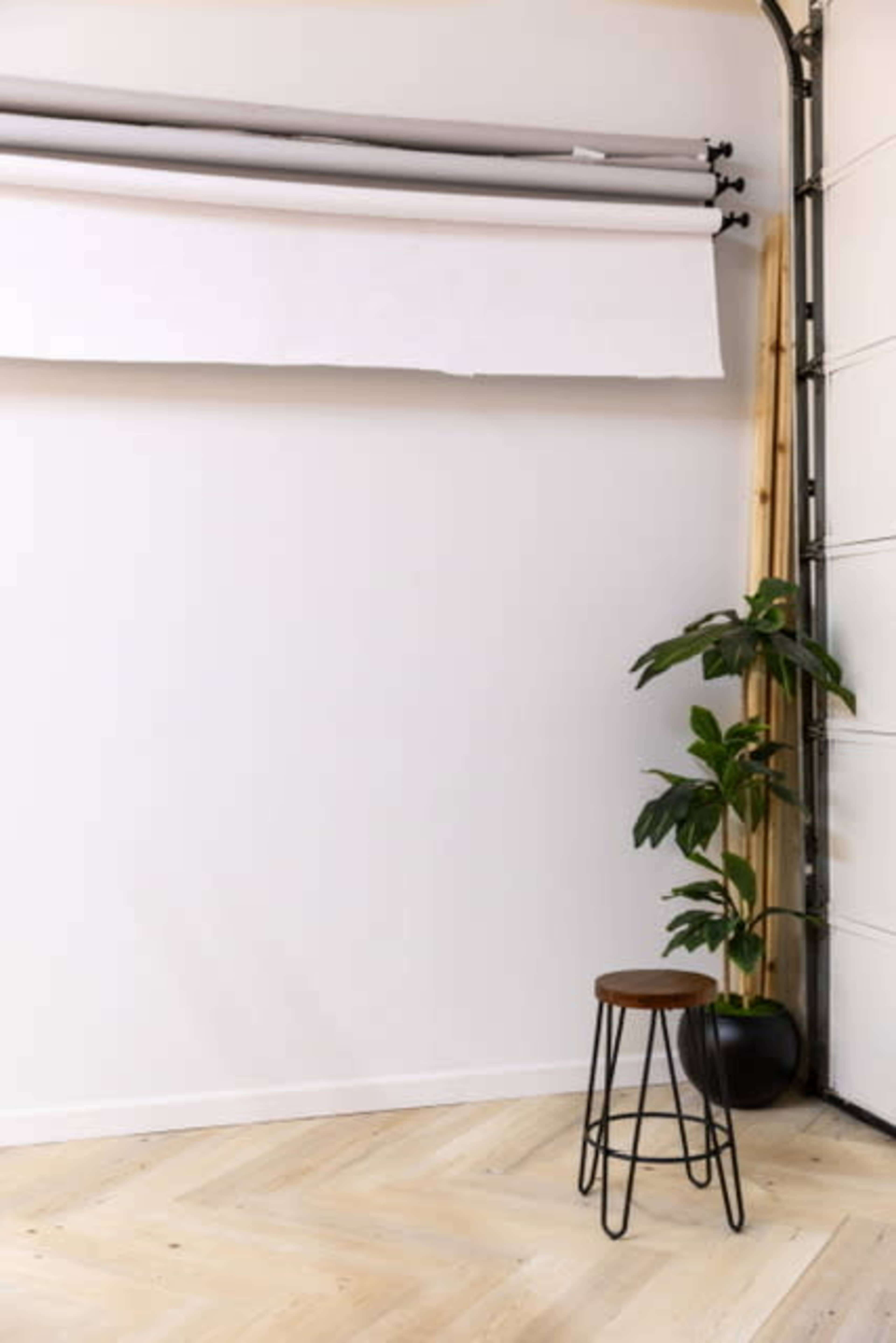 A bare studio space features a white wall, a rolled-up backdrop, a wooden stool, and a potted plant in the corner.