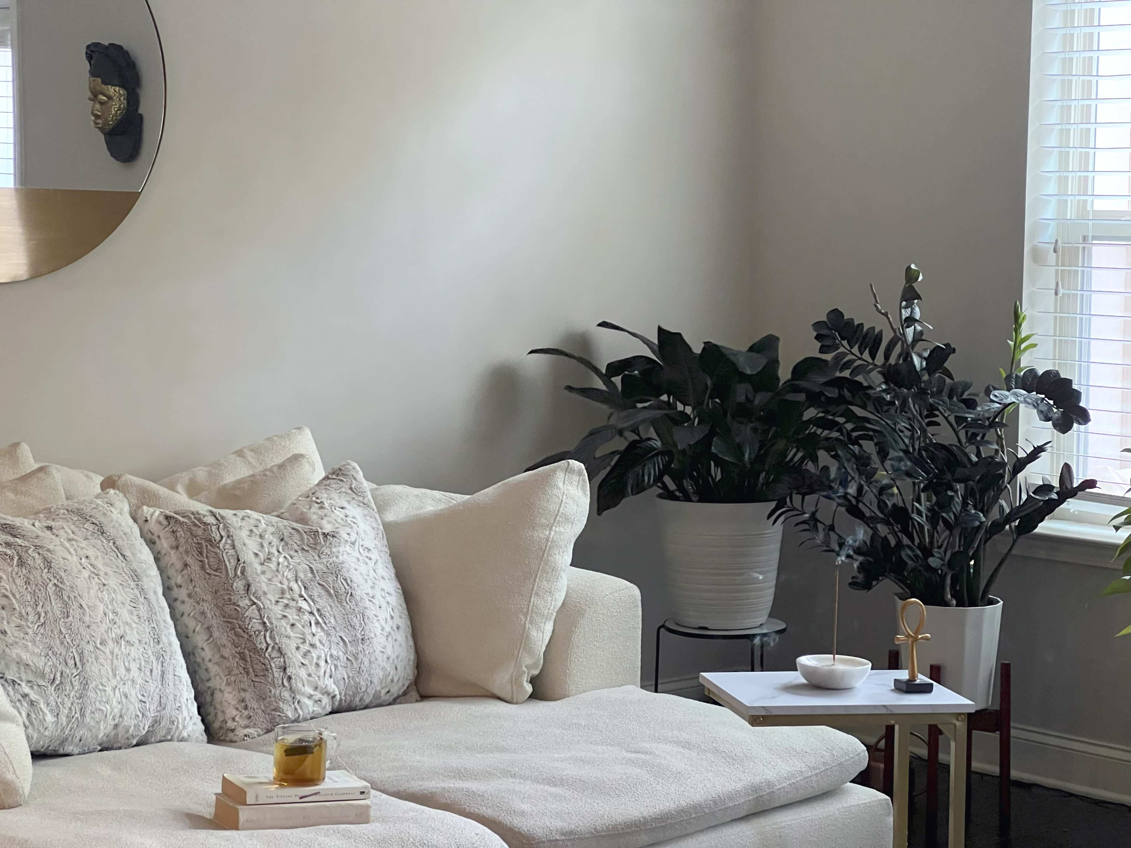 A spacious living room features a white couch with decorative pillows, a small side table with a drink, and a large potted plant beside a window with blinds.