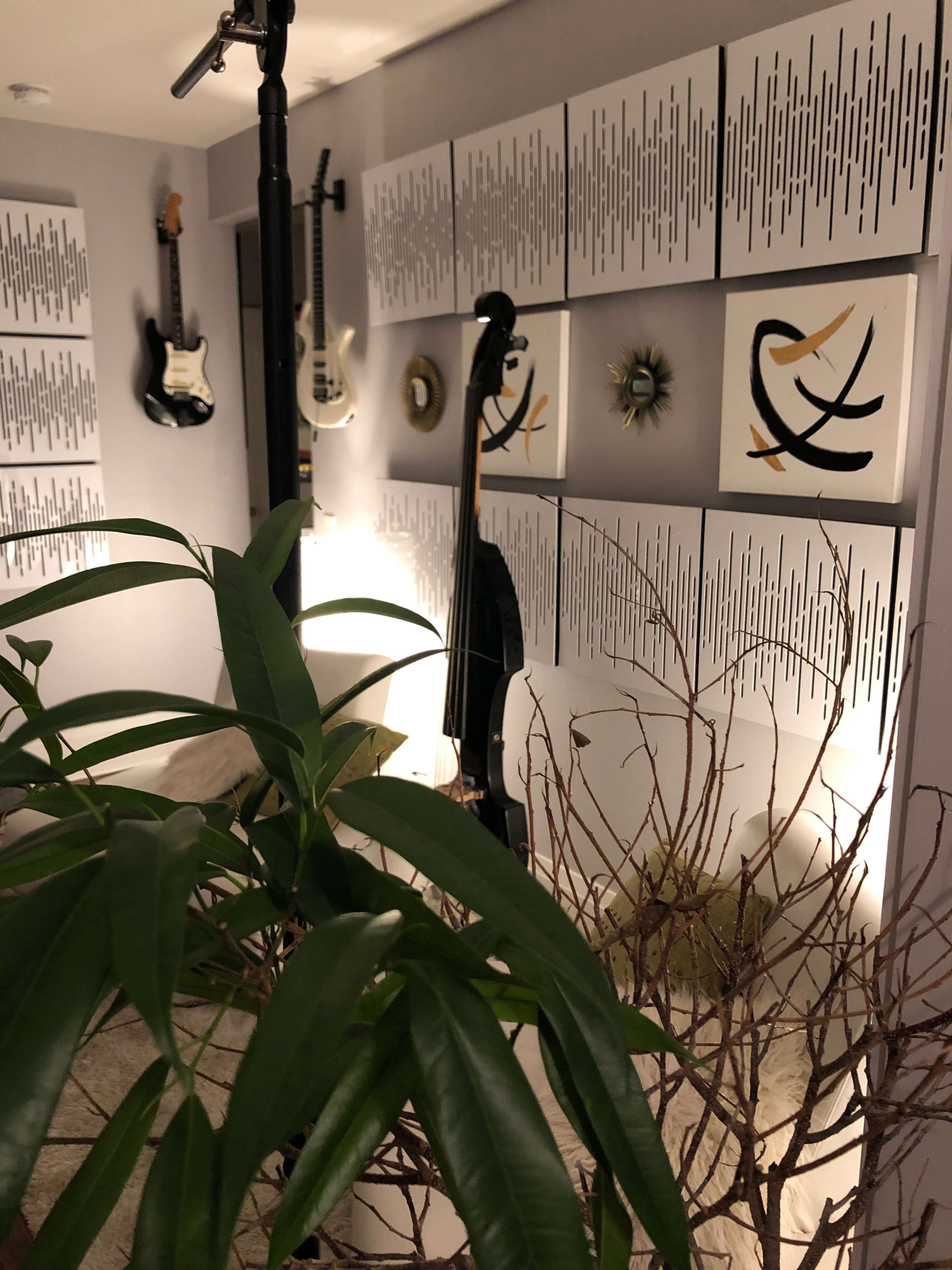 A room with wall art, musical instruments hanging, and plants arranged decoratively.