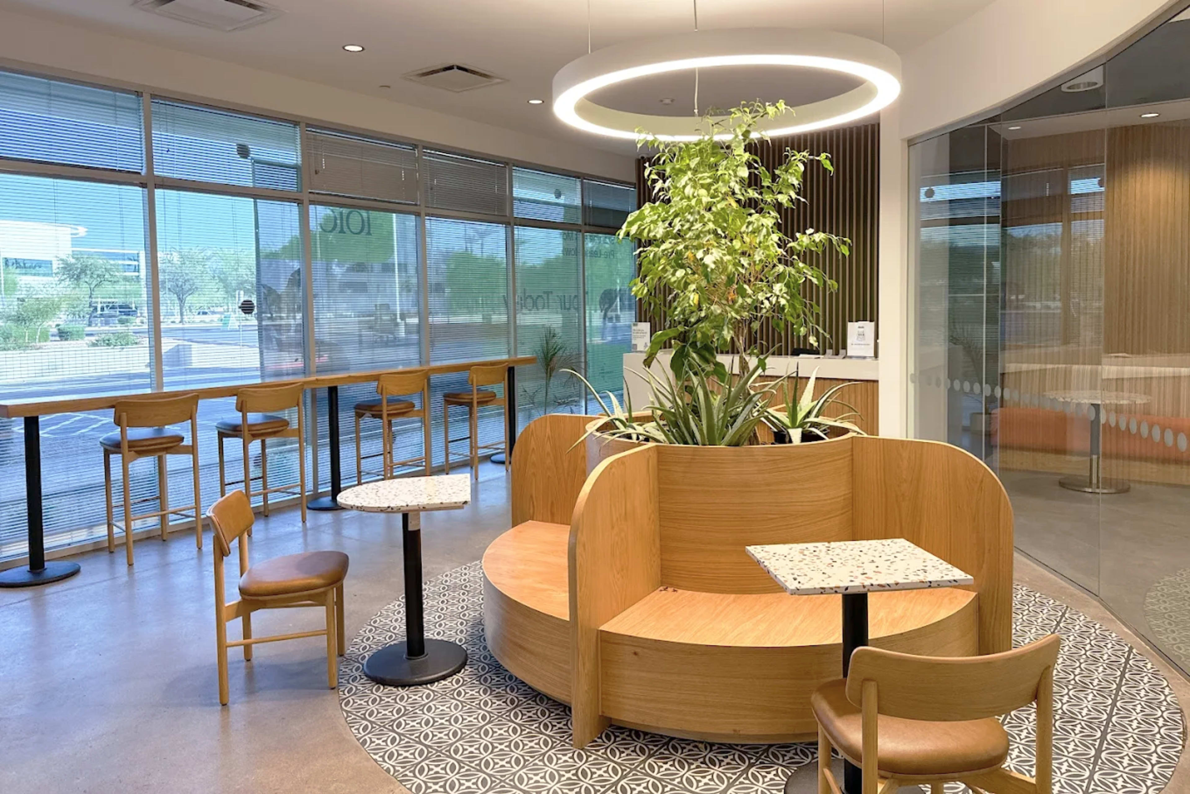The image features a modern café interior with a circular seating area and a central plant, surrounded by large windows and minimalist furniture.