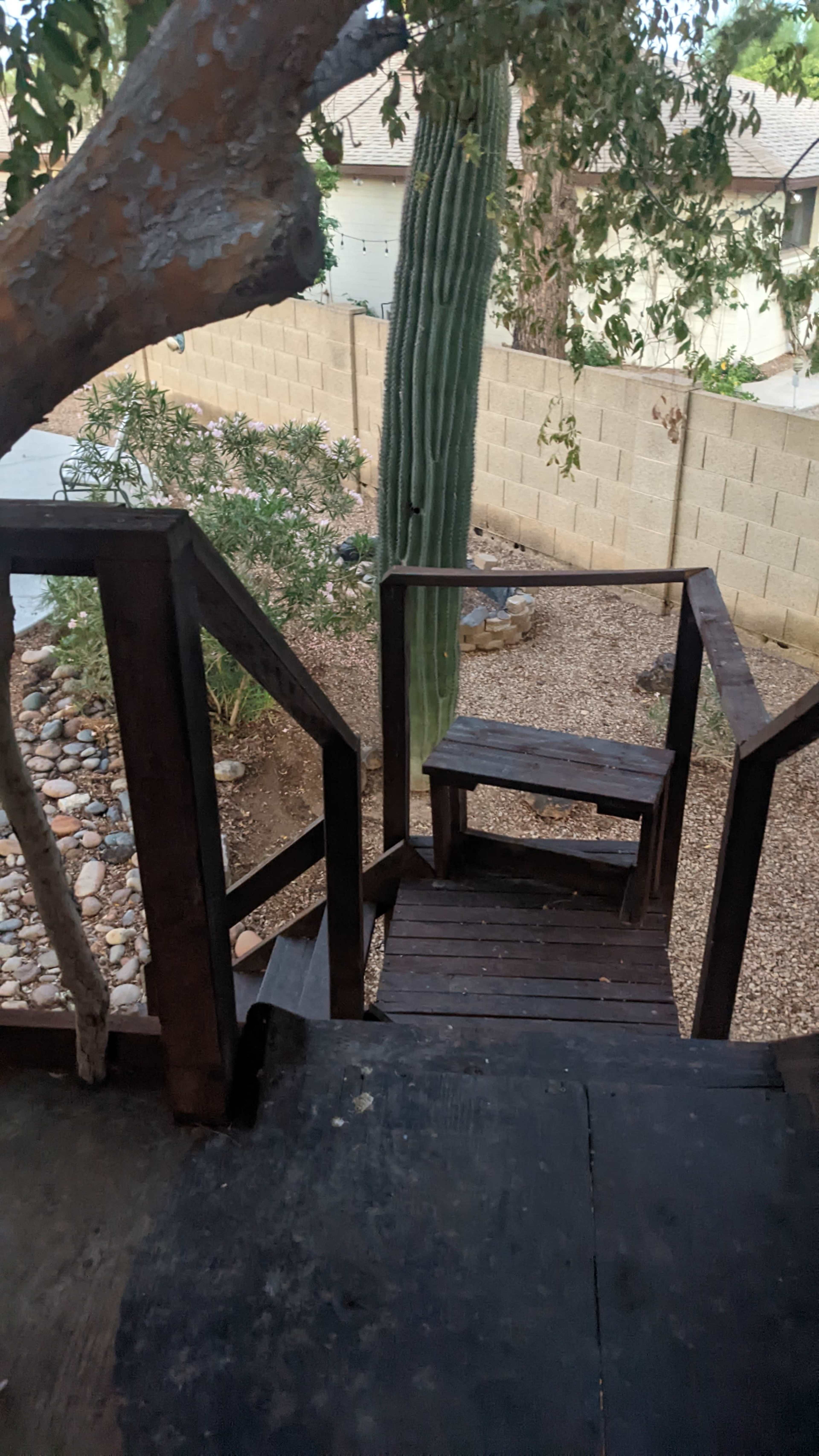 A wooden staircase leads down from a platform to a rocky garden area with a tall cactus and a stone pathway.