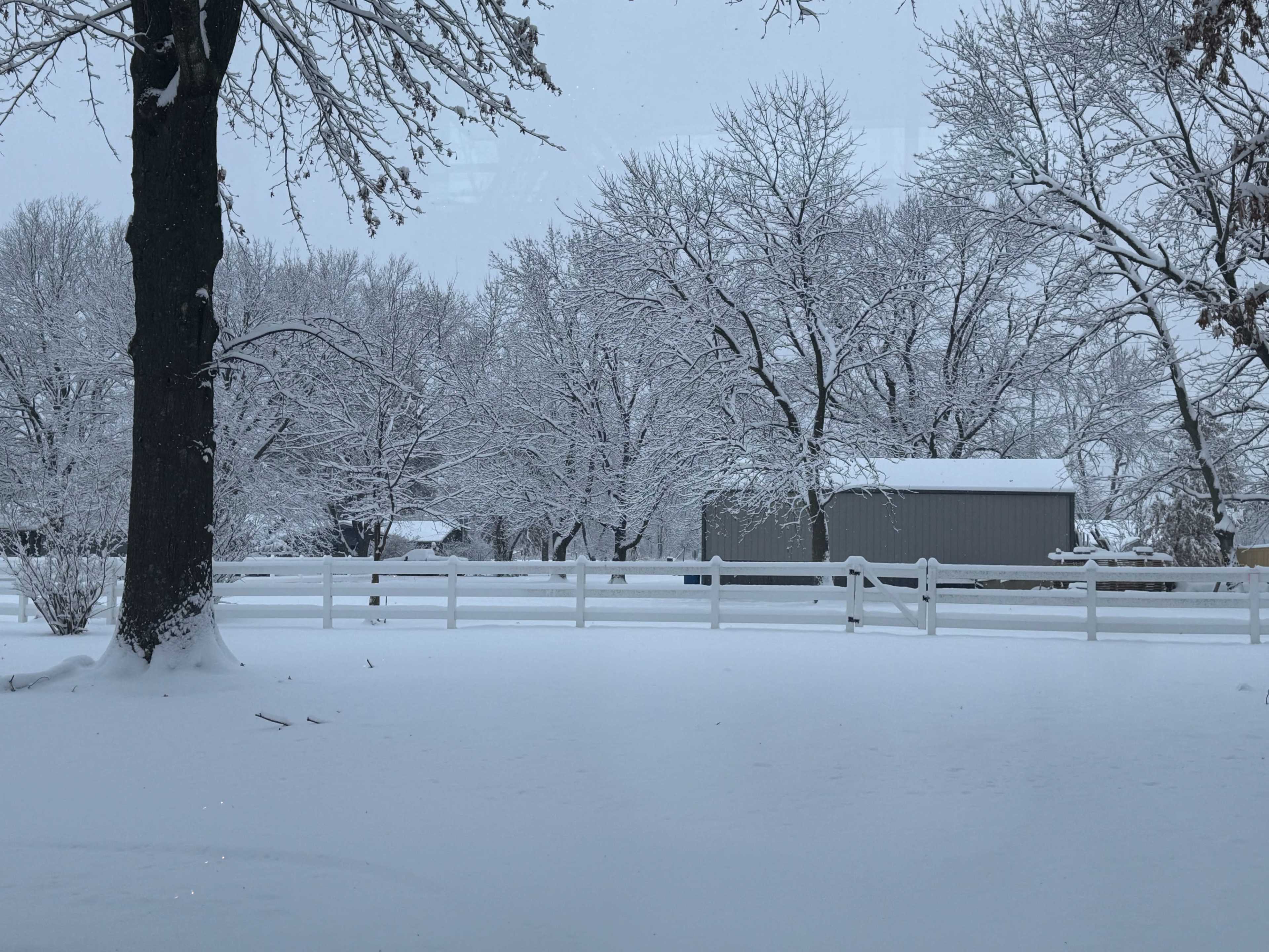 A snow-covered landscape features bare trees and a gray shed behind a white picket fence.