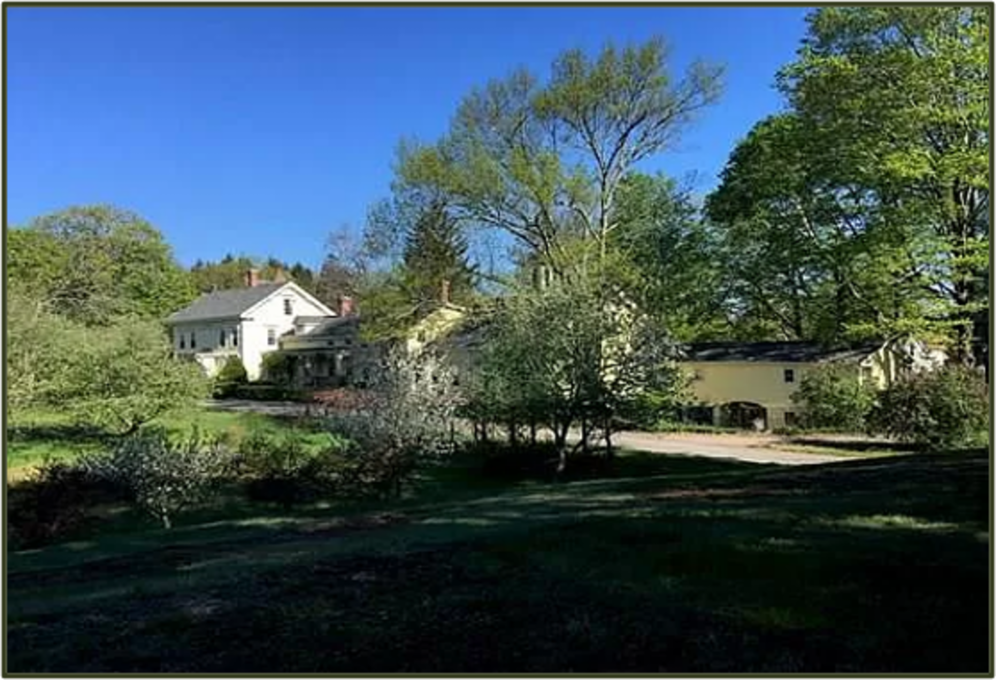 A cluster of houses surrounded by lush greenery and trees under a clear blue sky.