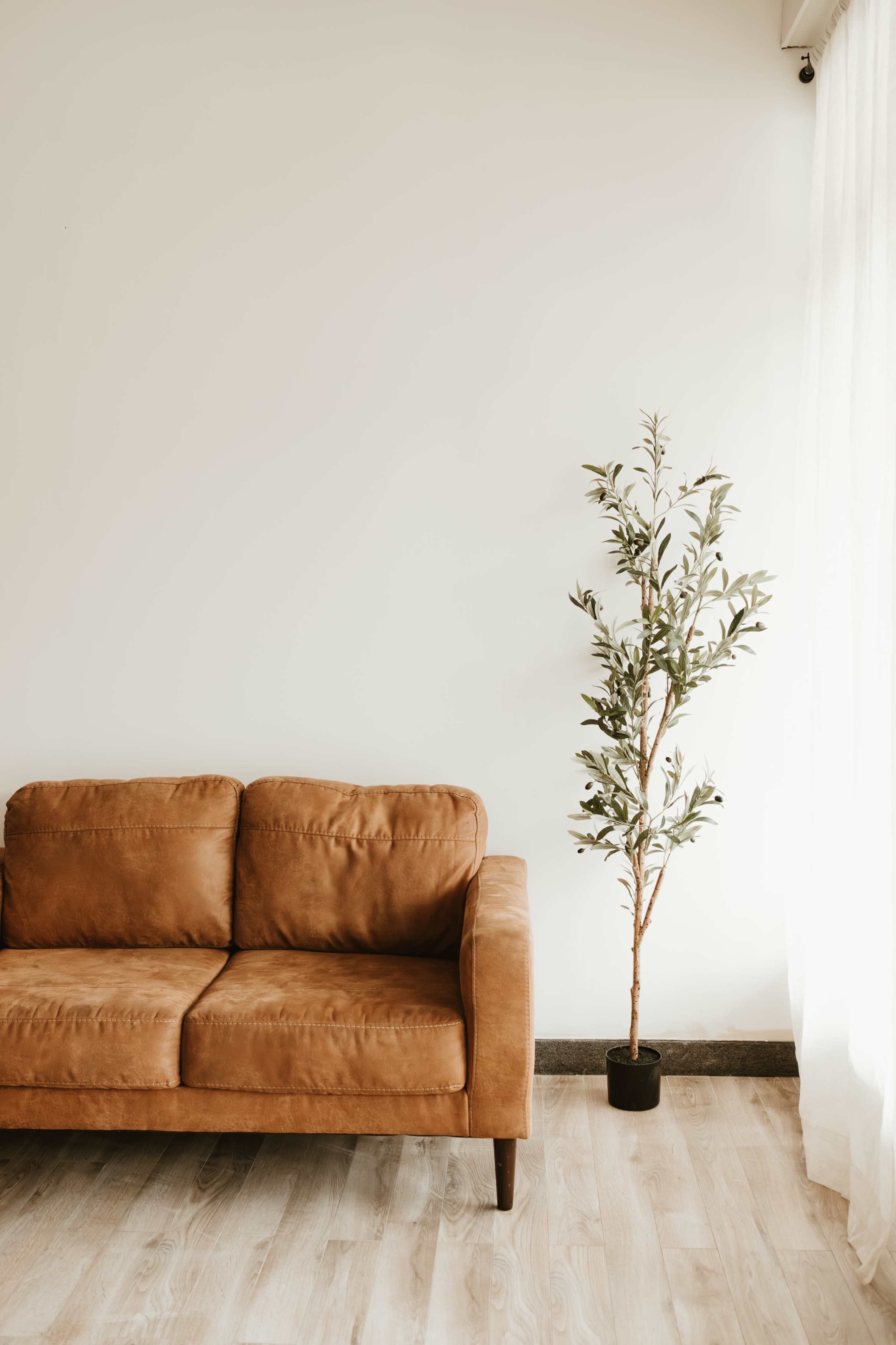 A brown leather couch is positioned against a white wall, accompanied by a potted plant near a window with sheer curtains.