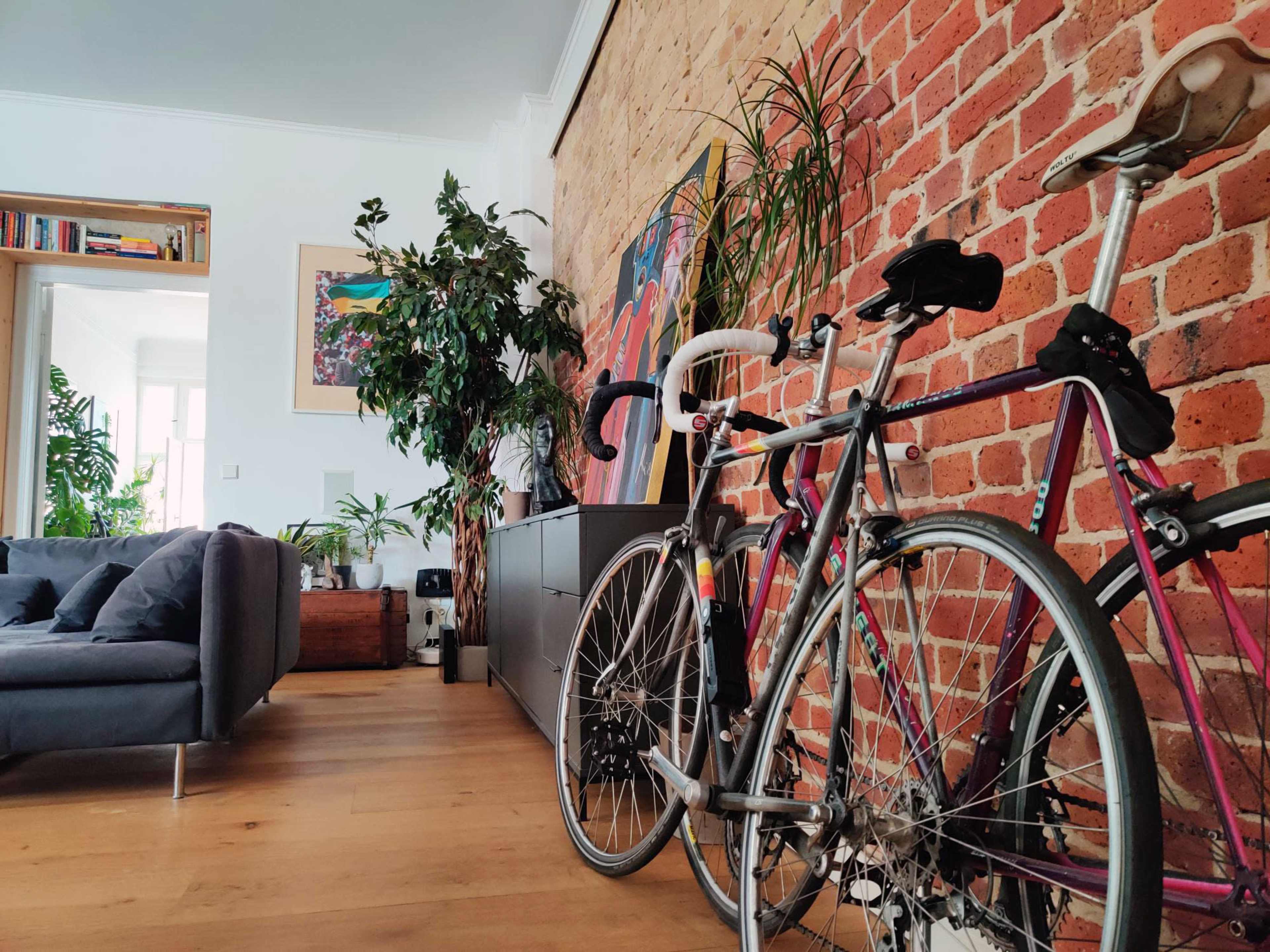 Two bicycles parked beside a brick wall in a living room with plants and a sofa.
