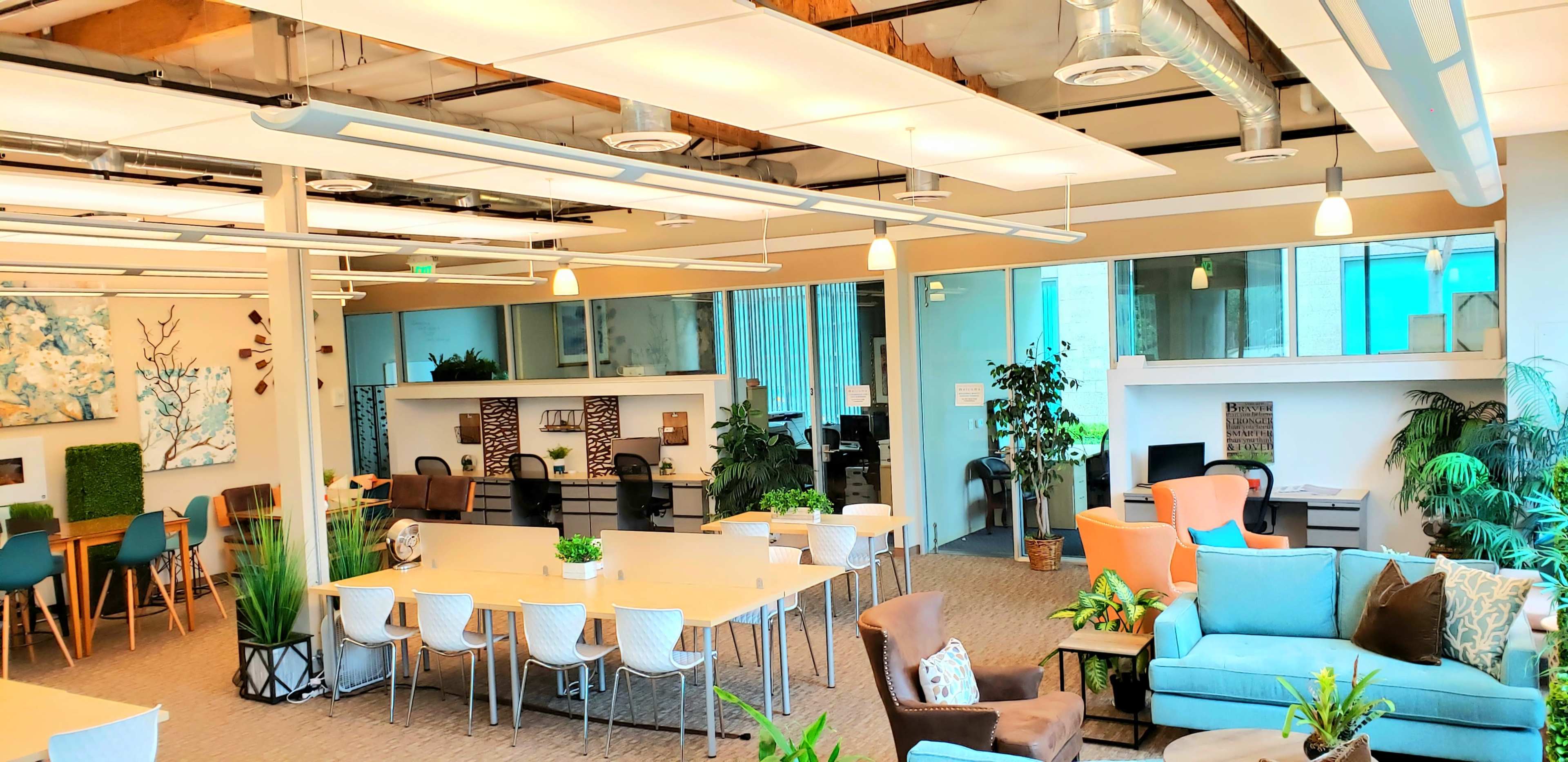 A spacious, modern collaborative workspace with various seating areas, plants, and tables arranged for group activities.