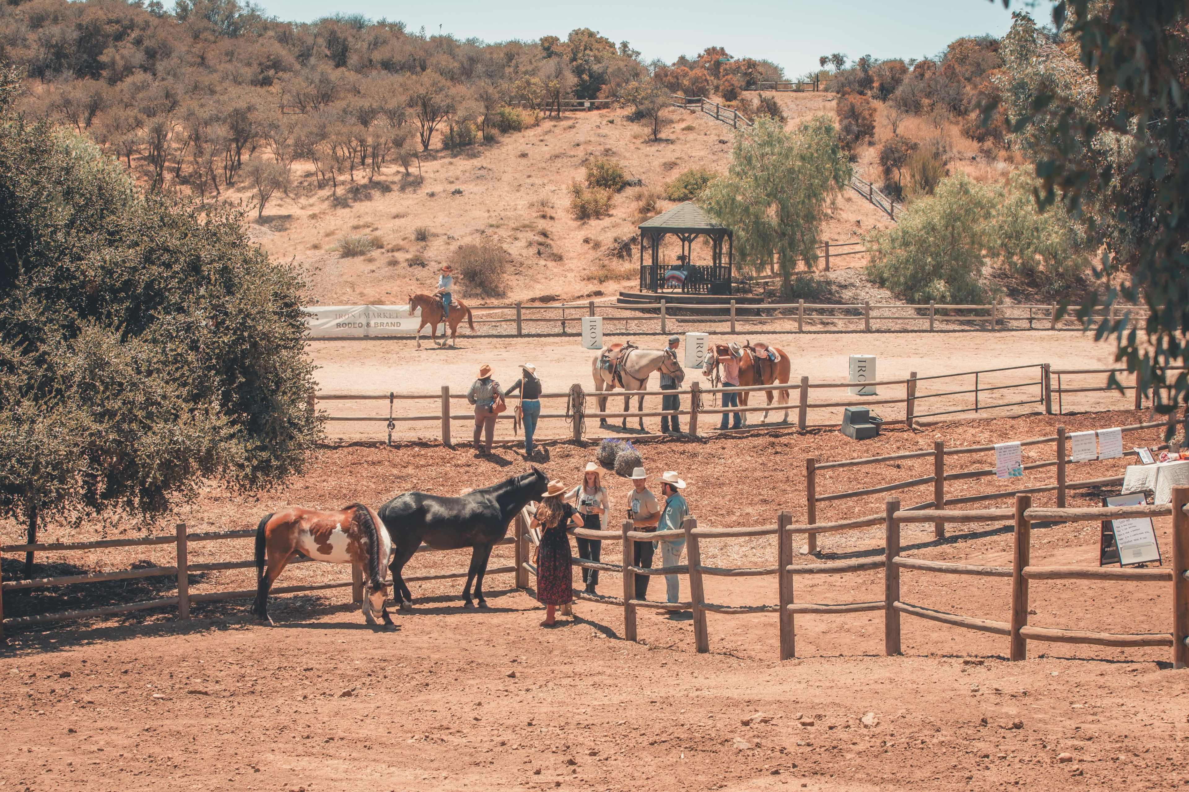 People interact with horses near a fenced area on a ranch with a gazebo and a sandy arena in the background.