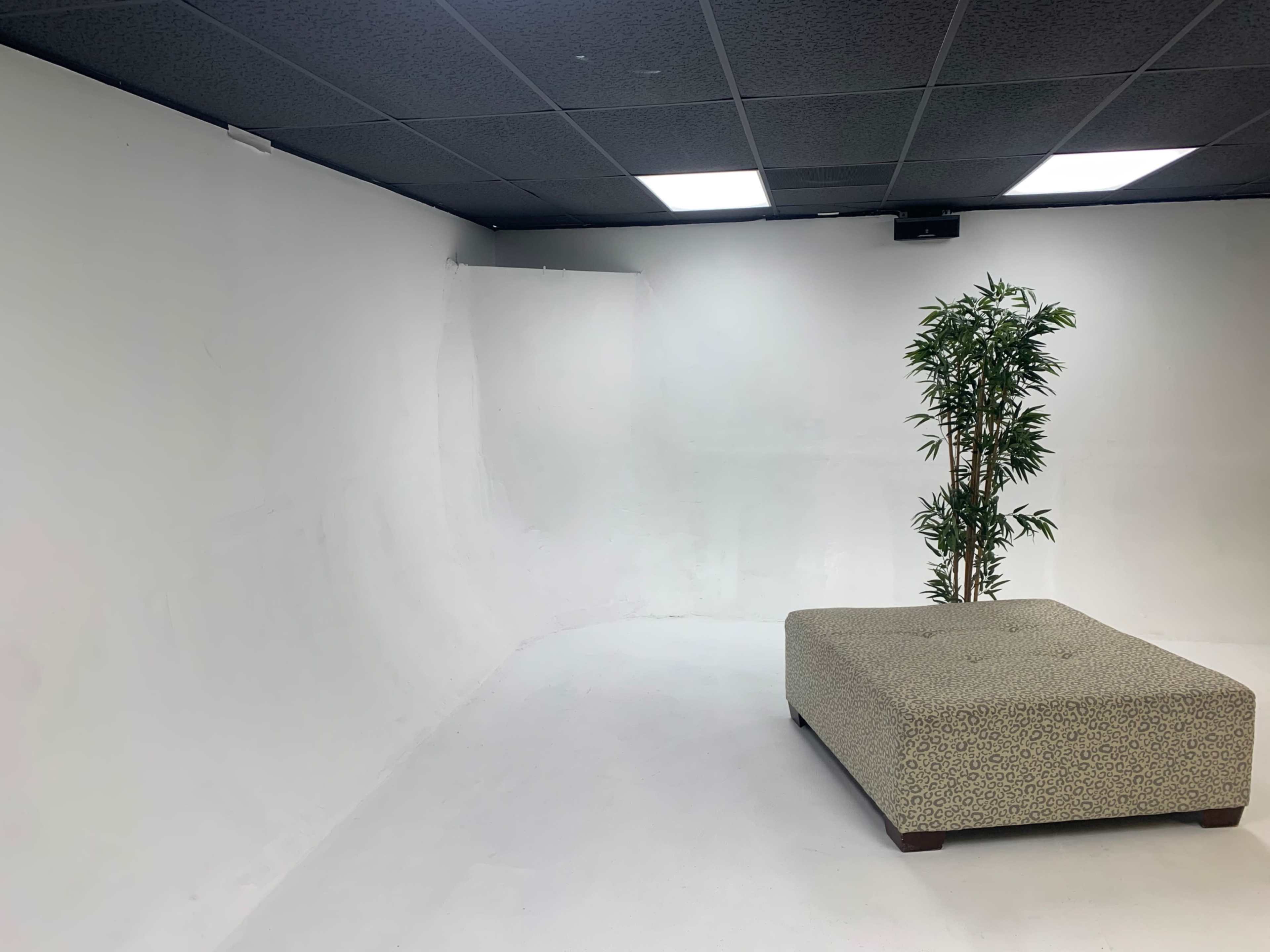 A minimalist studio space with a light-colored backdrop, a patterned ottoman, and a potted plant.