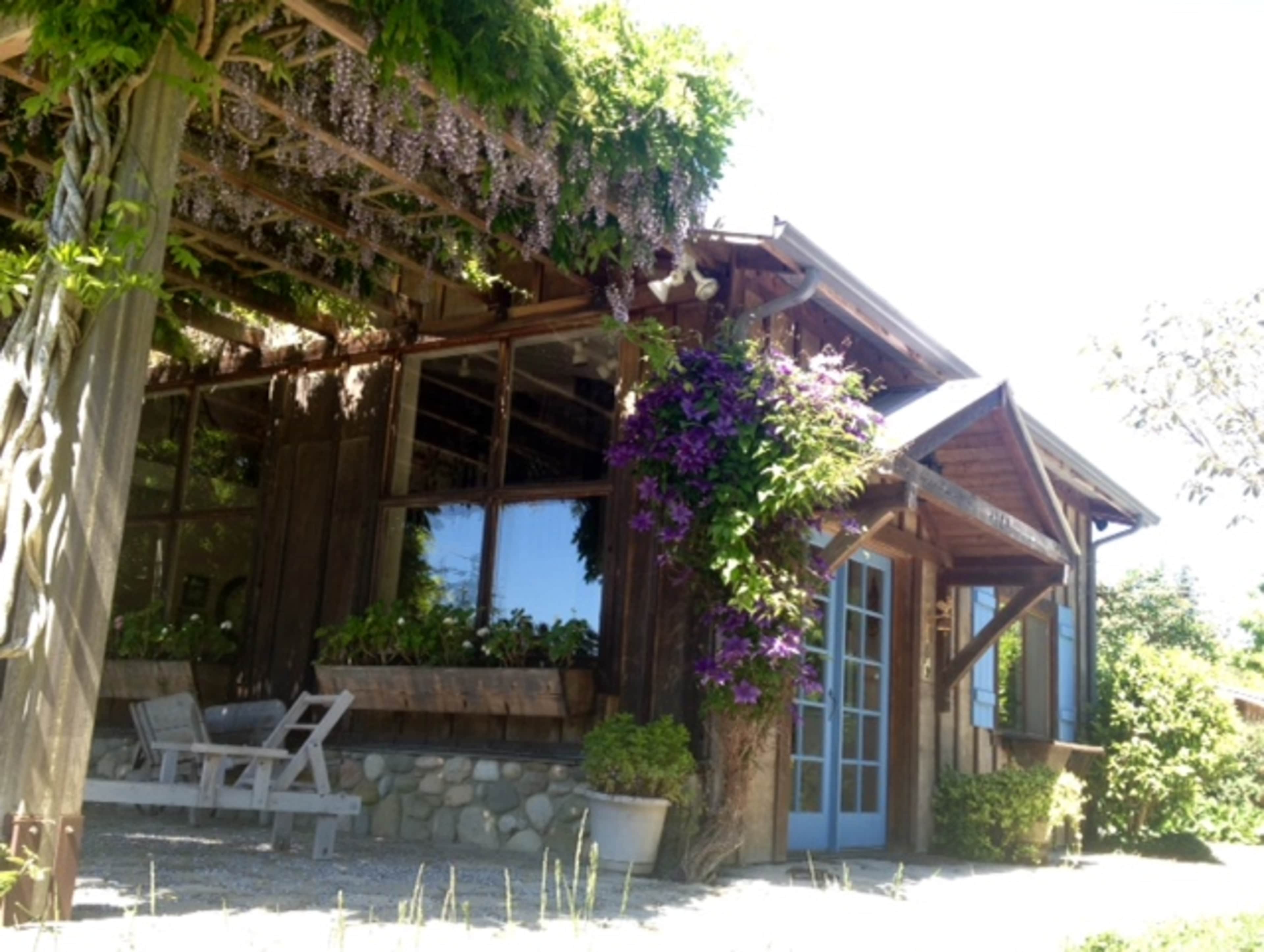 A wooden building with large windows and a blue door is surrounded by greenery and flowering vines.