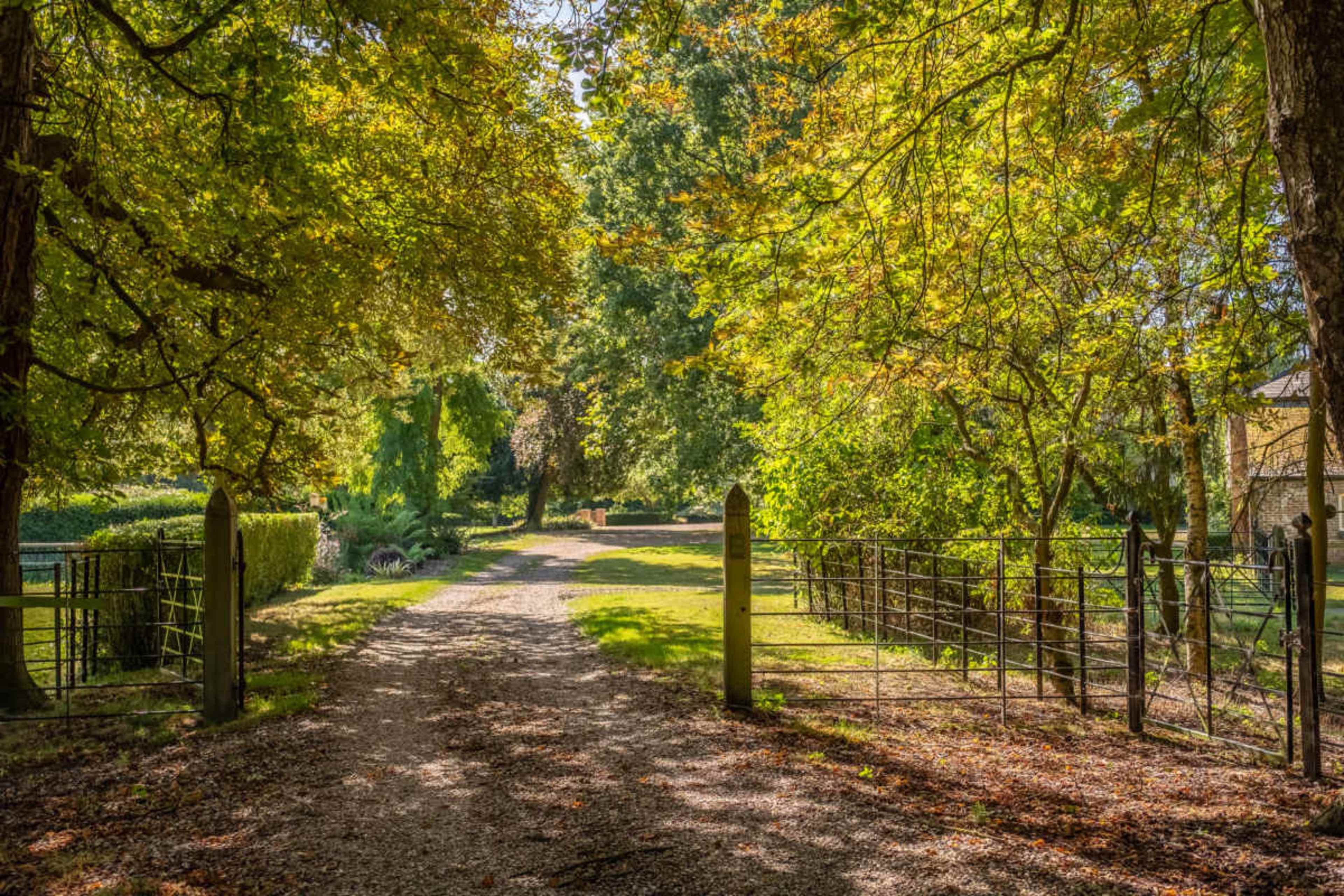 A dirt path lined with trees leads through an open gate into a lush, green area.