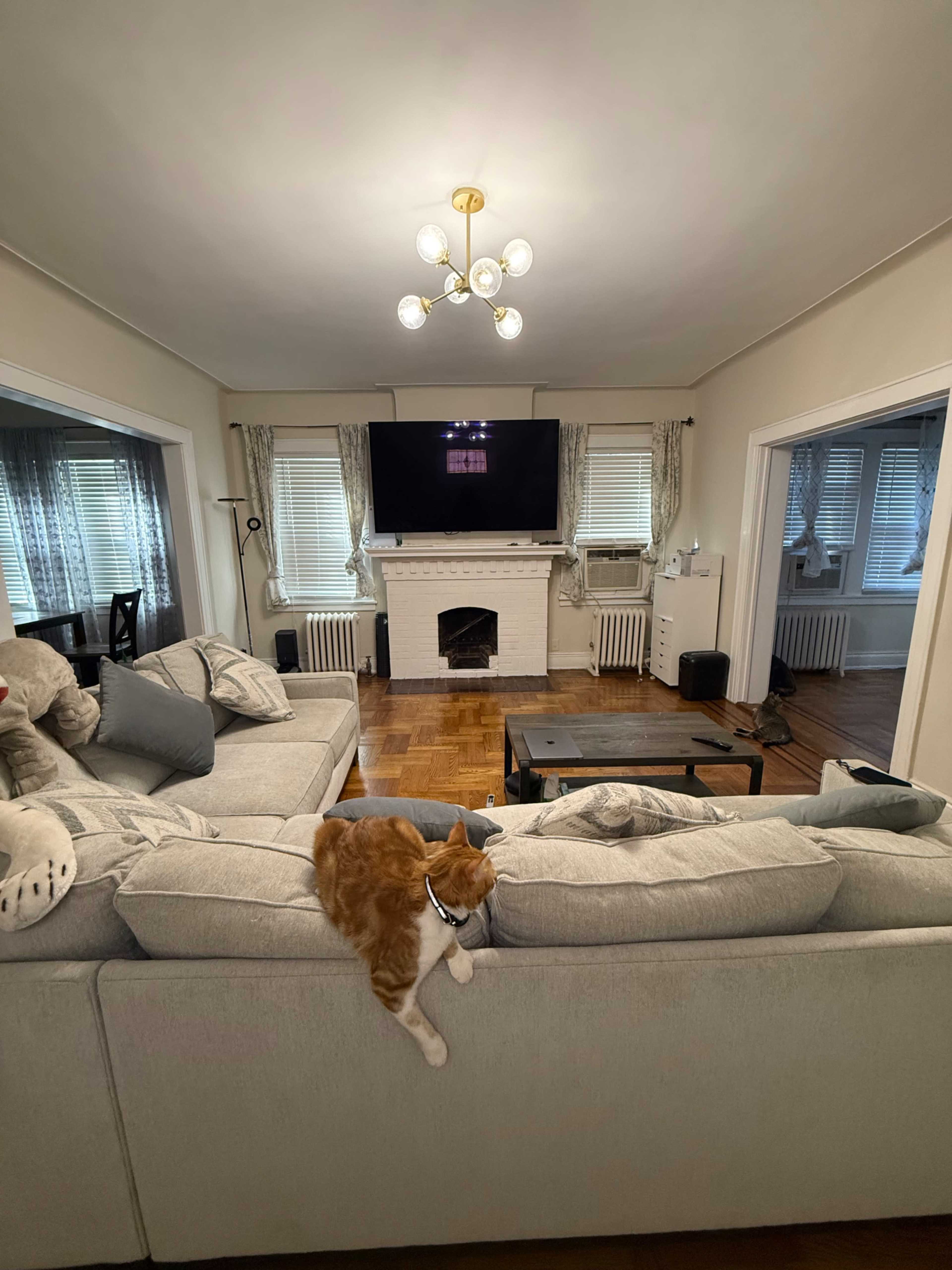 Historic Jackson Heights Family Home — Perfect for Film, TV, Advertising & Creative Projects Image in Jackson Heights, Jackson Heights, NY