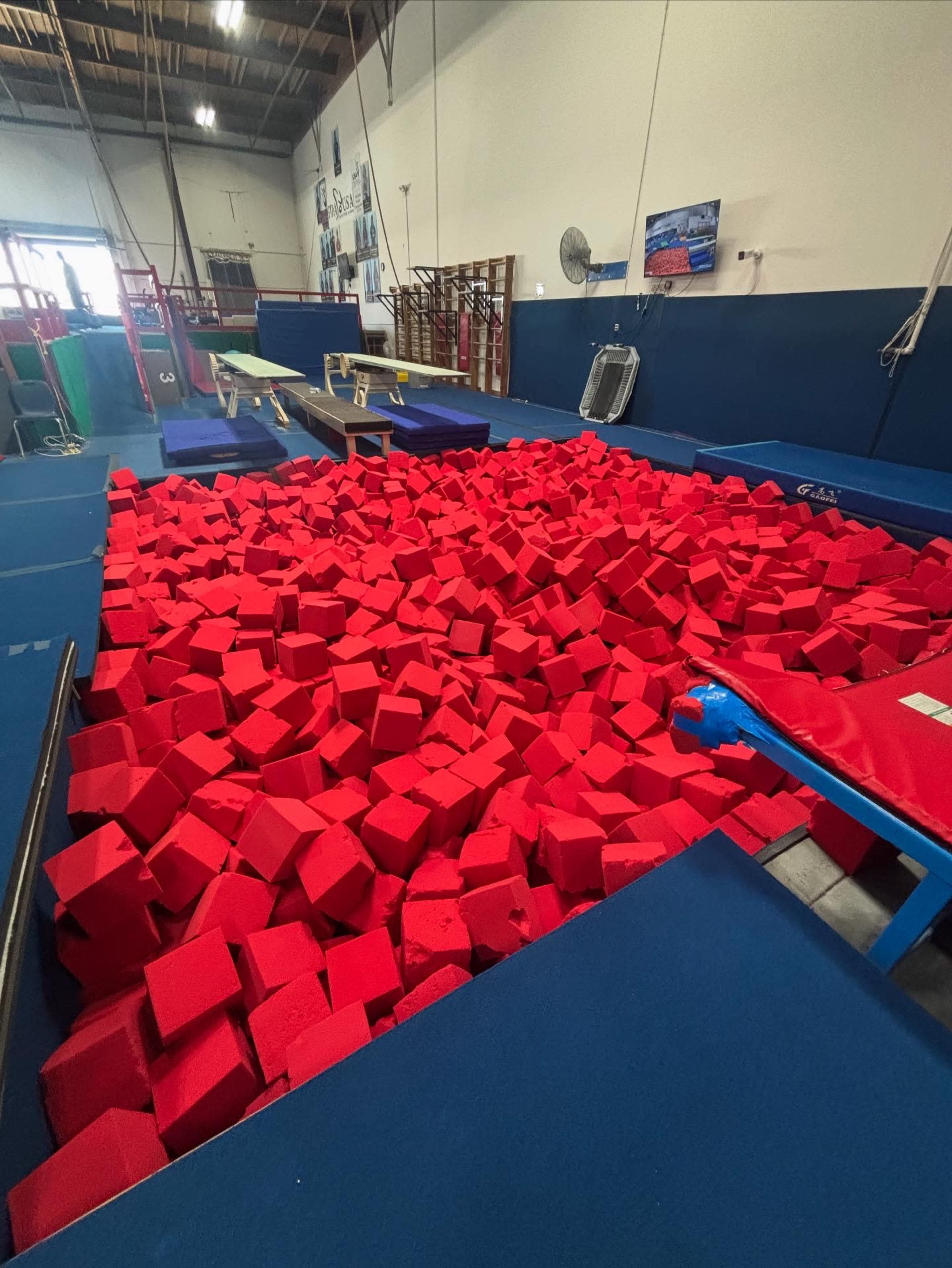 Flipping Fantastic high ceilings gym Image in Santa Fe Springs, Santa Fe Springs, CA