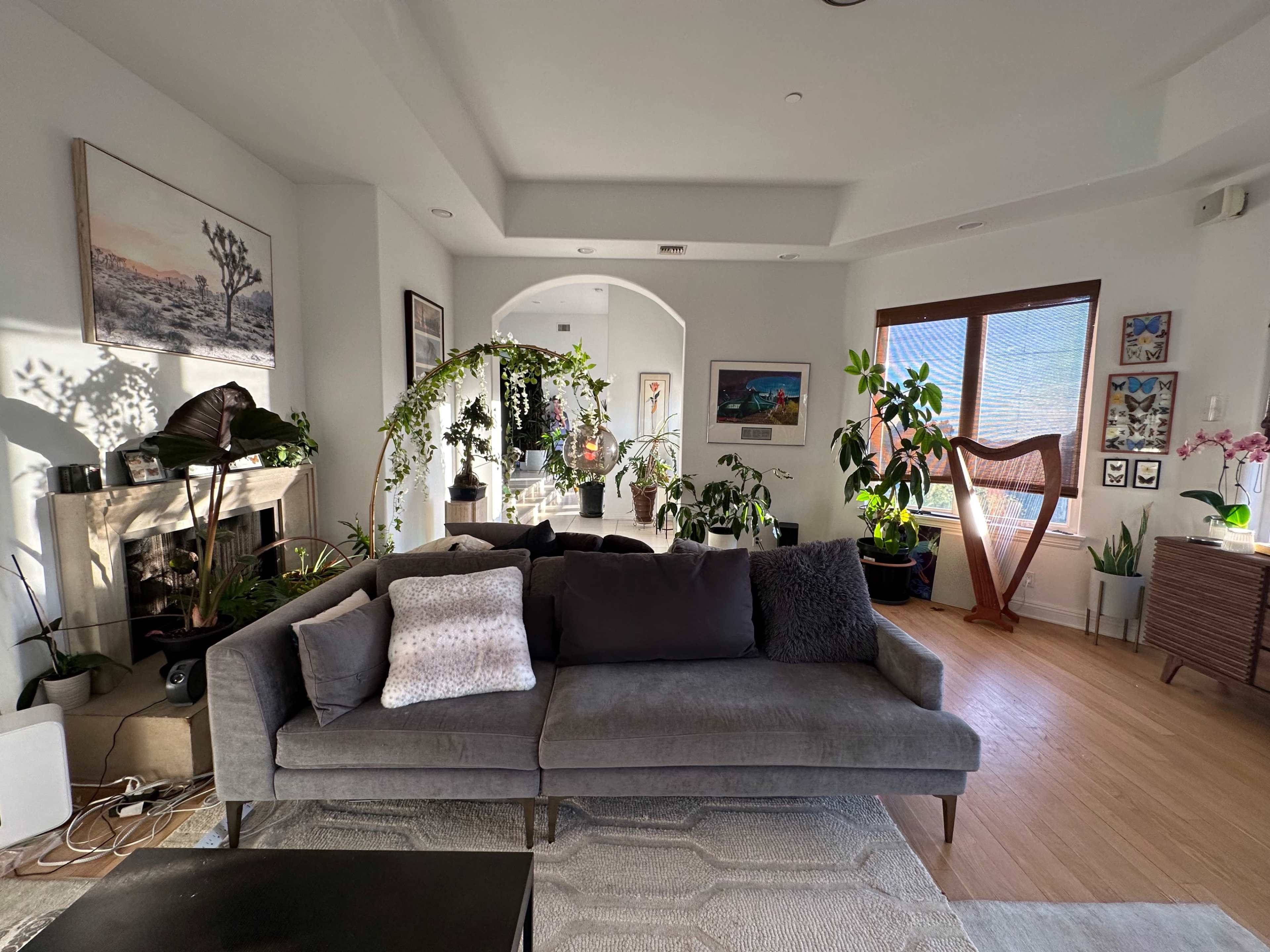 A modern living room features a gray sofa with various cushions, indoor plants, and artwork displayed on the walls.