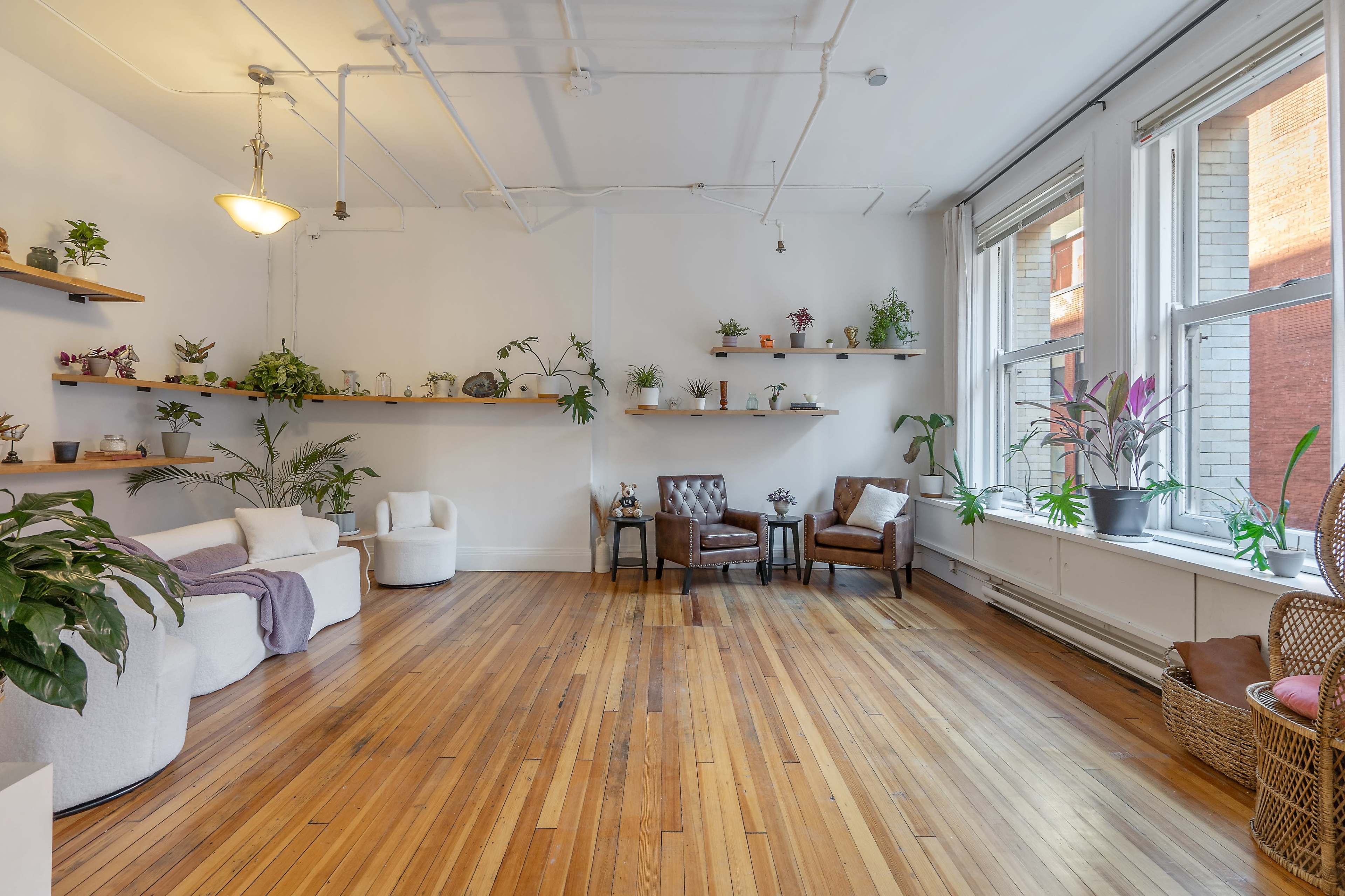 The image shows a bright, minimalist room with wooden flooring, two armchairs, and various plants on shelves and around the space.