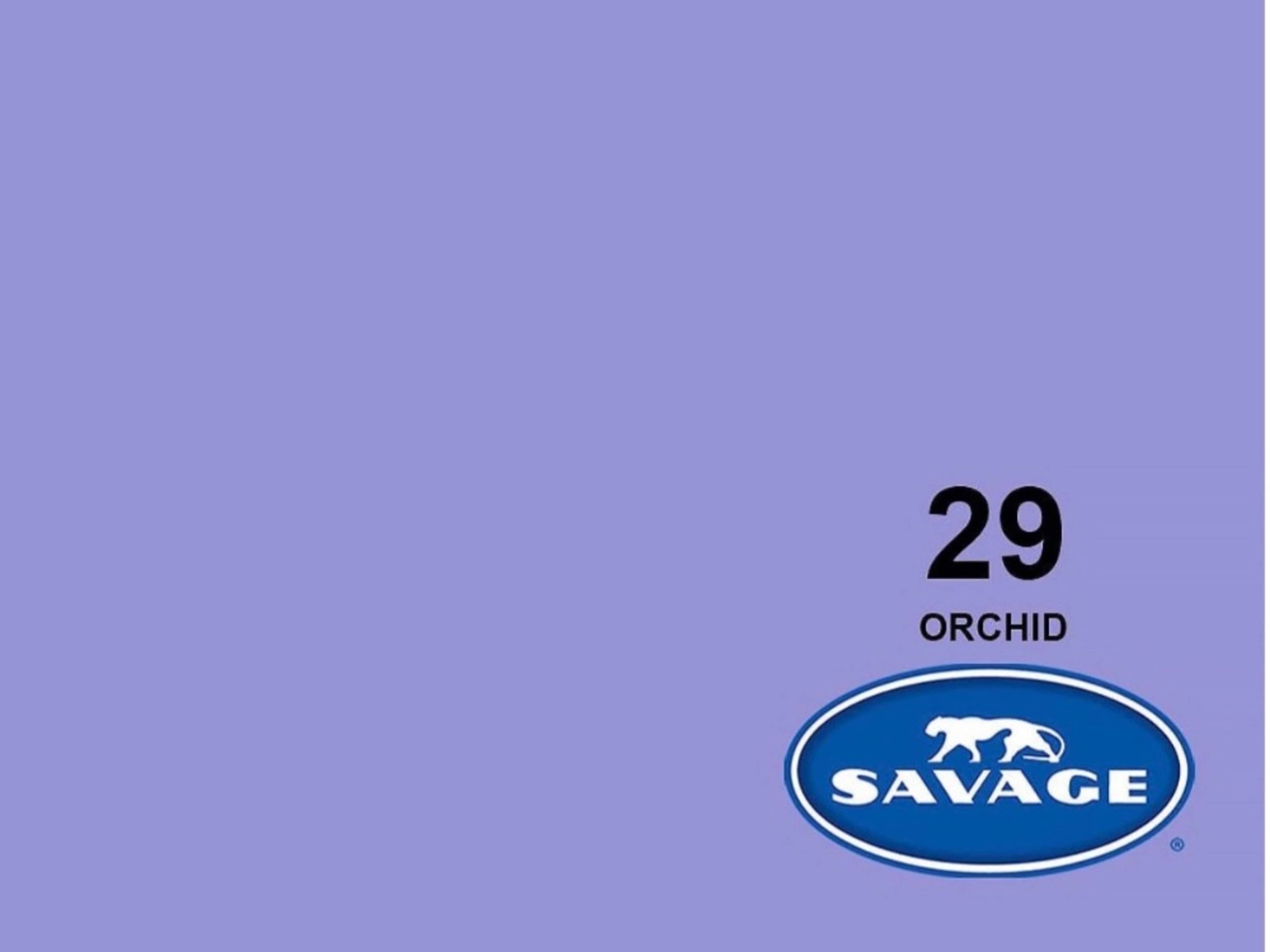 53” Seamless Backdrop - Orchid