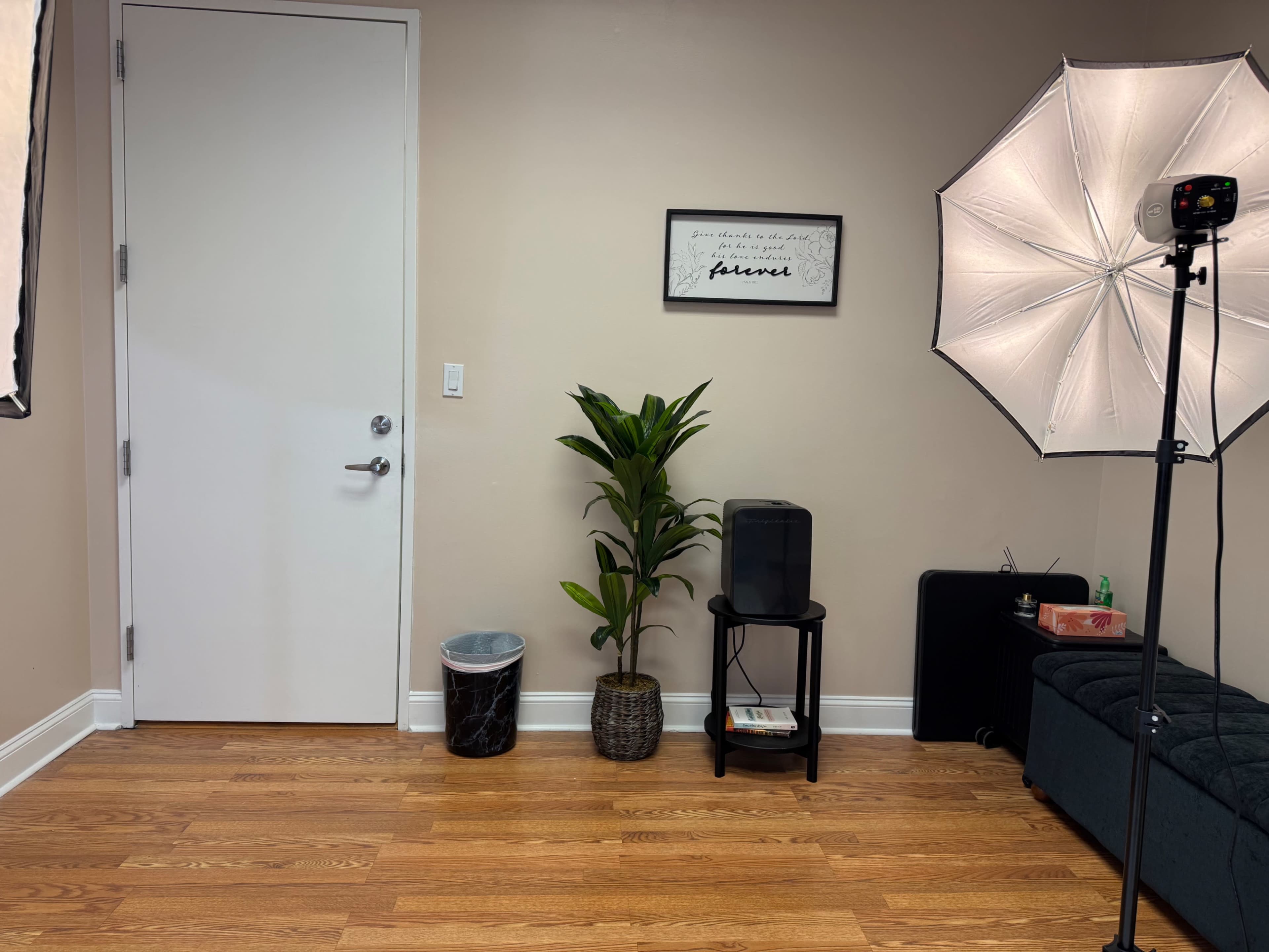 The image shows a small room with a door, a planter with a green plant, a black speaker on a small table, a wastebasket, and a light umbrella setup on the right side.