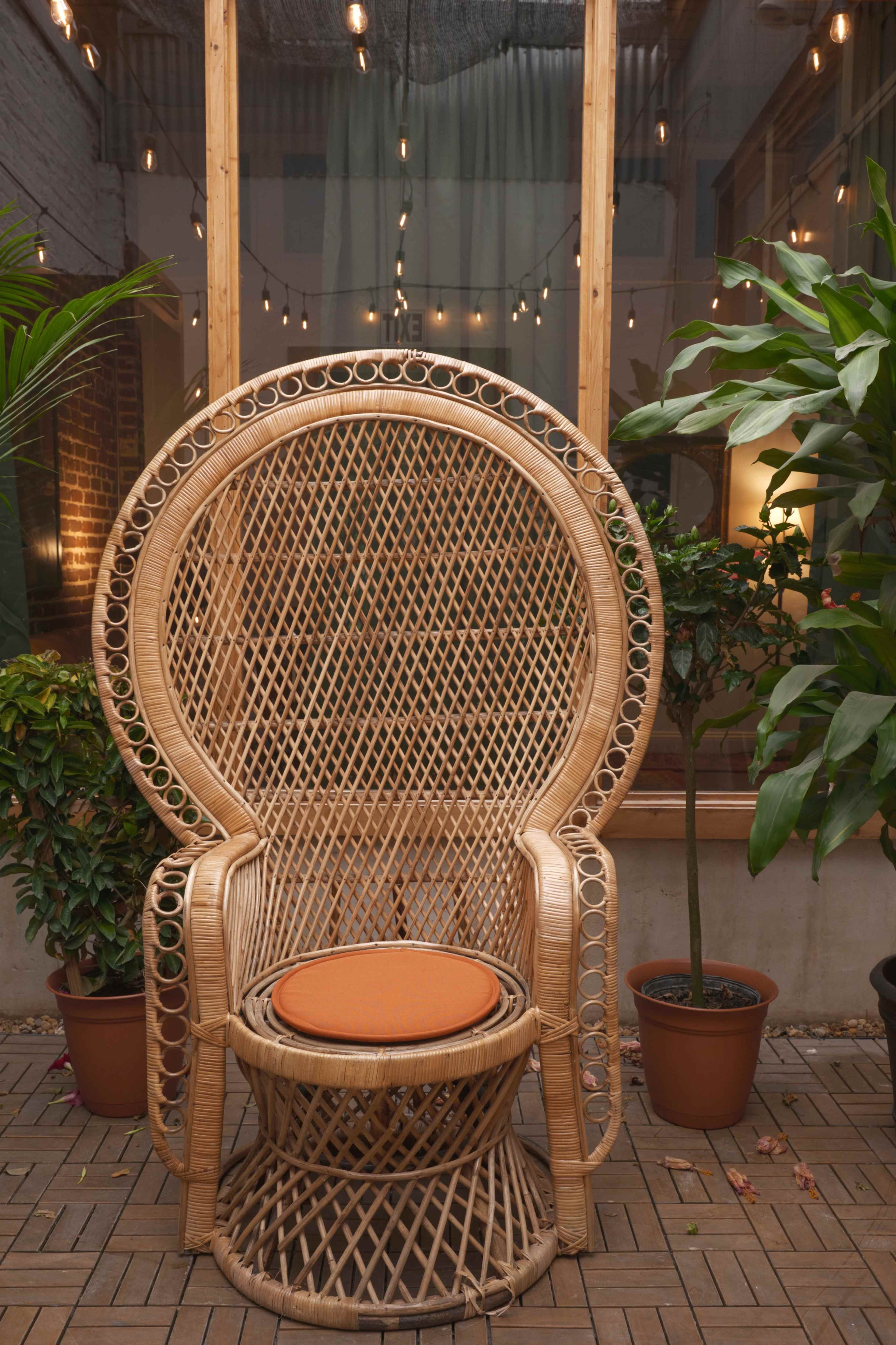 A large, woven rattan chair with a round backrest is positioned in a well-lit indoor space surrounded by potted plants.