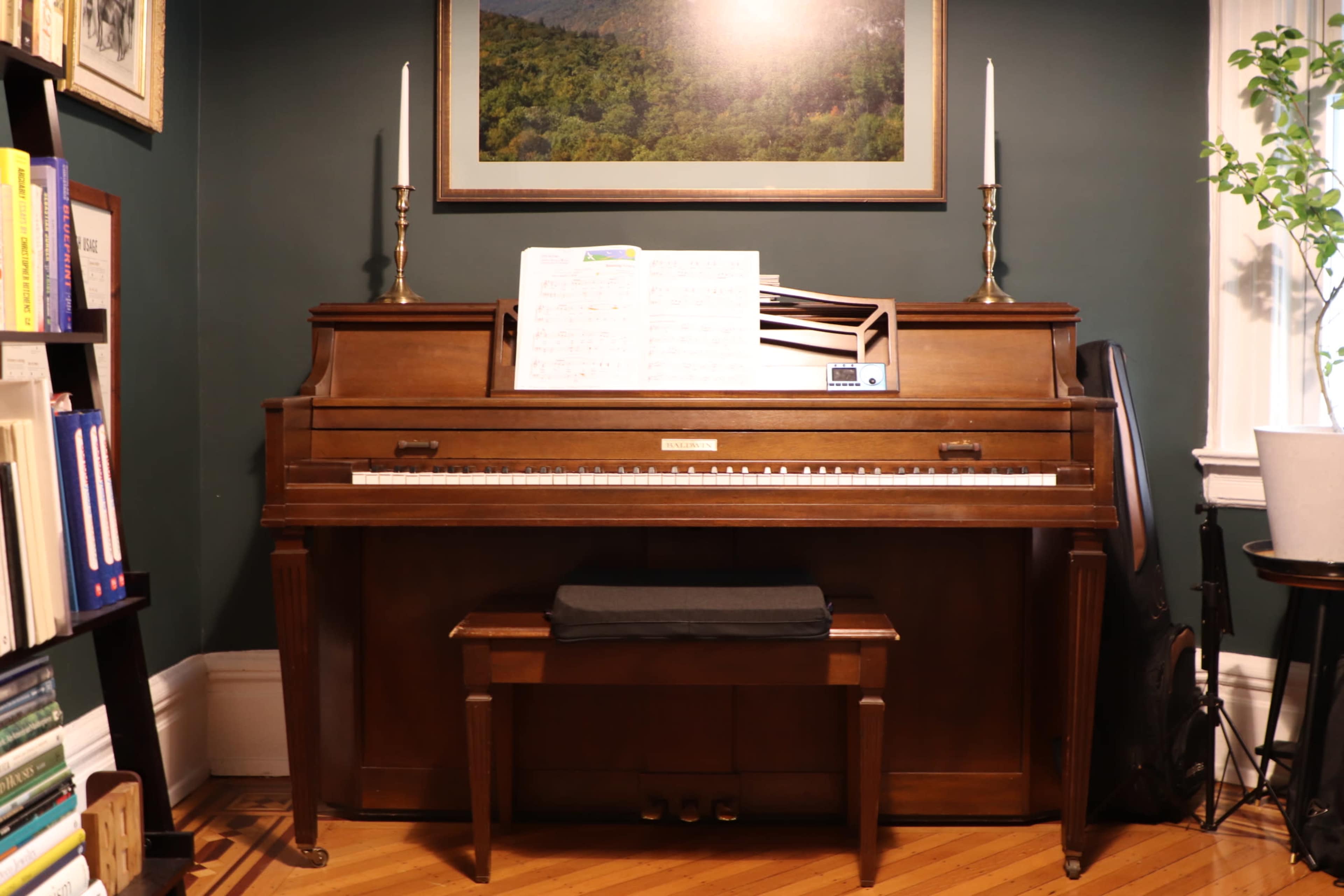 Ditmas Park Victorian House with Front and Back Yards Image in Flatbush, Brooklyn, NY