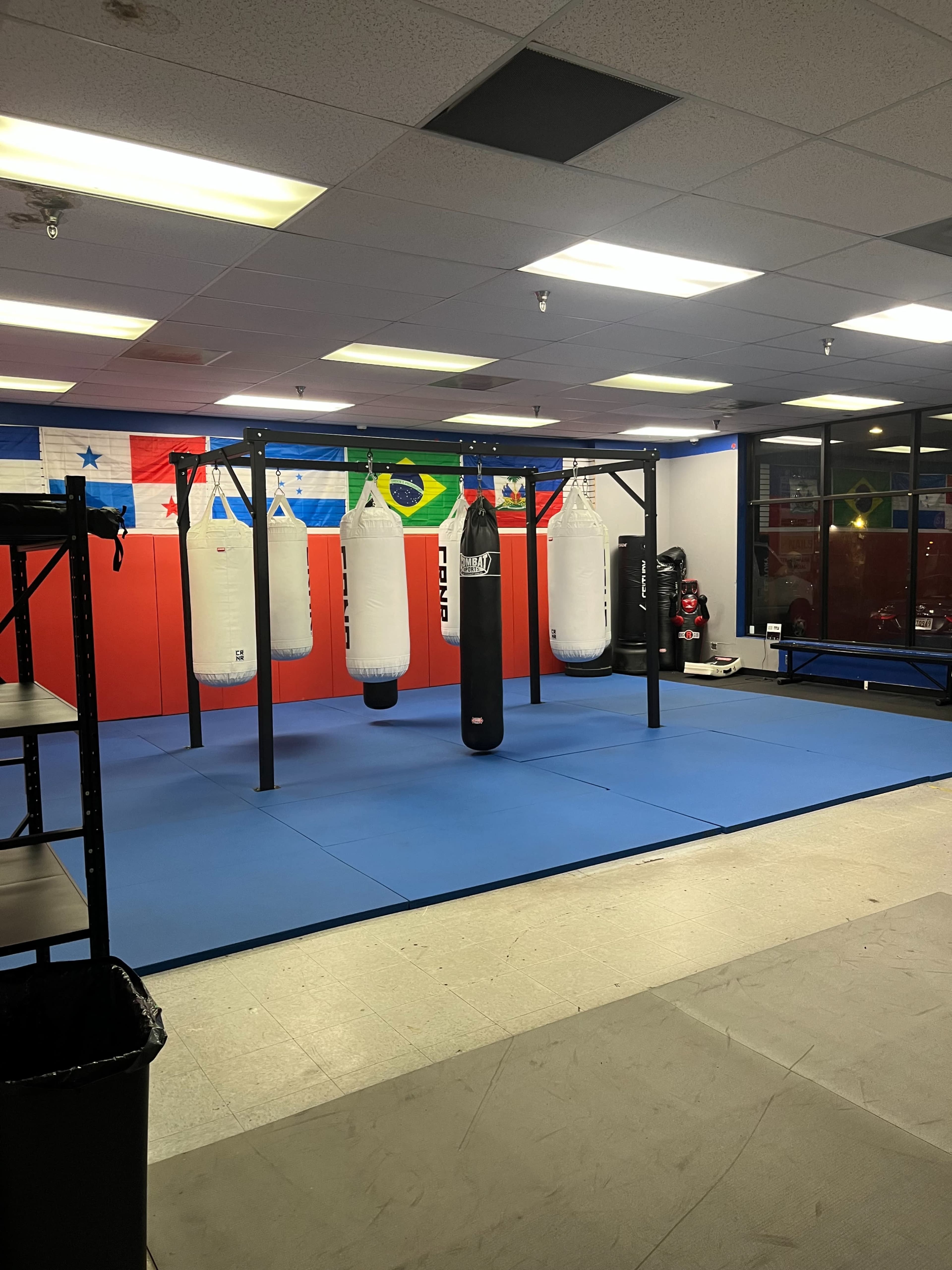The image shows an indoor gym area with a row of six hanging punching bags on a metal frame, surrounded by blue flooring and a red and blue wall with flags in the background.