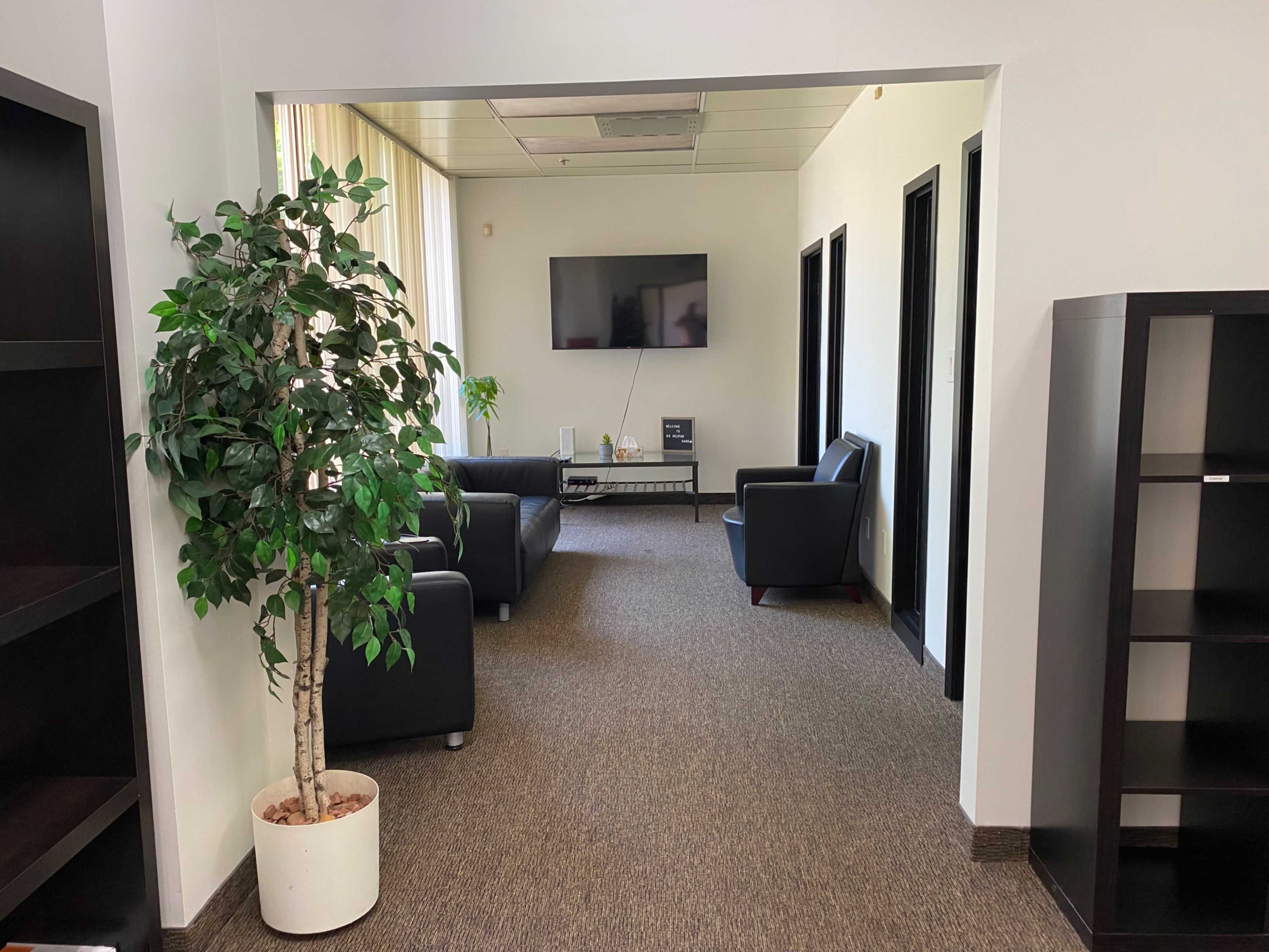 A modern office space with a seating area, a television mounted on the wall, and a potted plant.