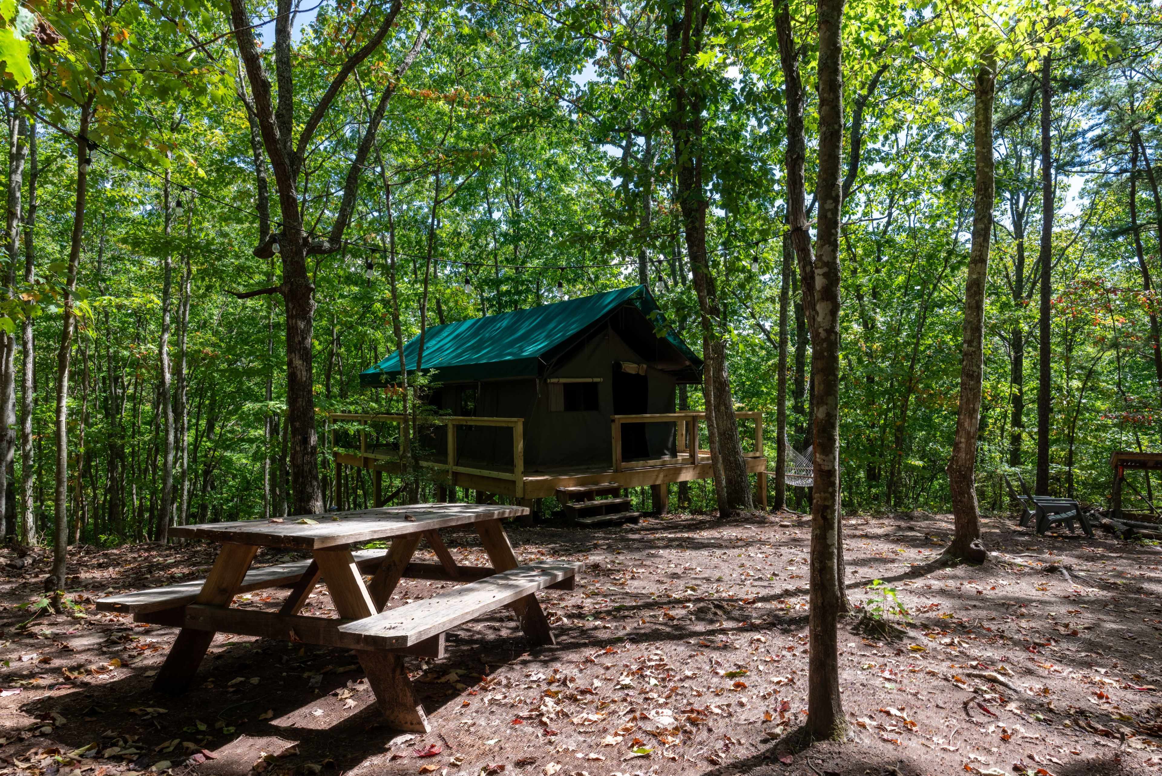 A cabin with a green roof is perched above the ground, surrounded by trees, with a wooden picnic table nearby.