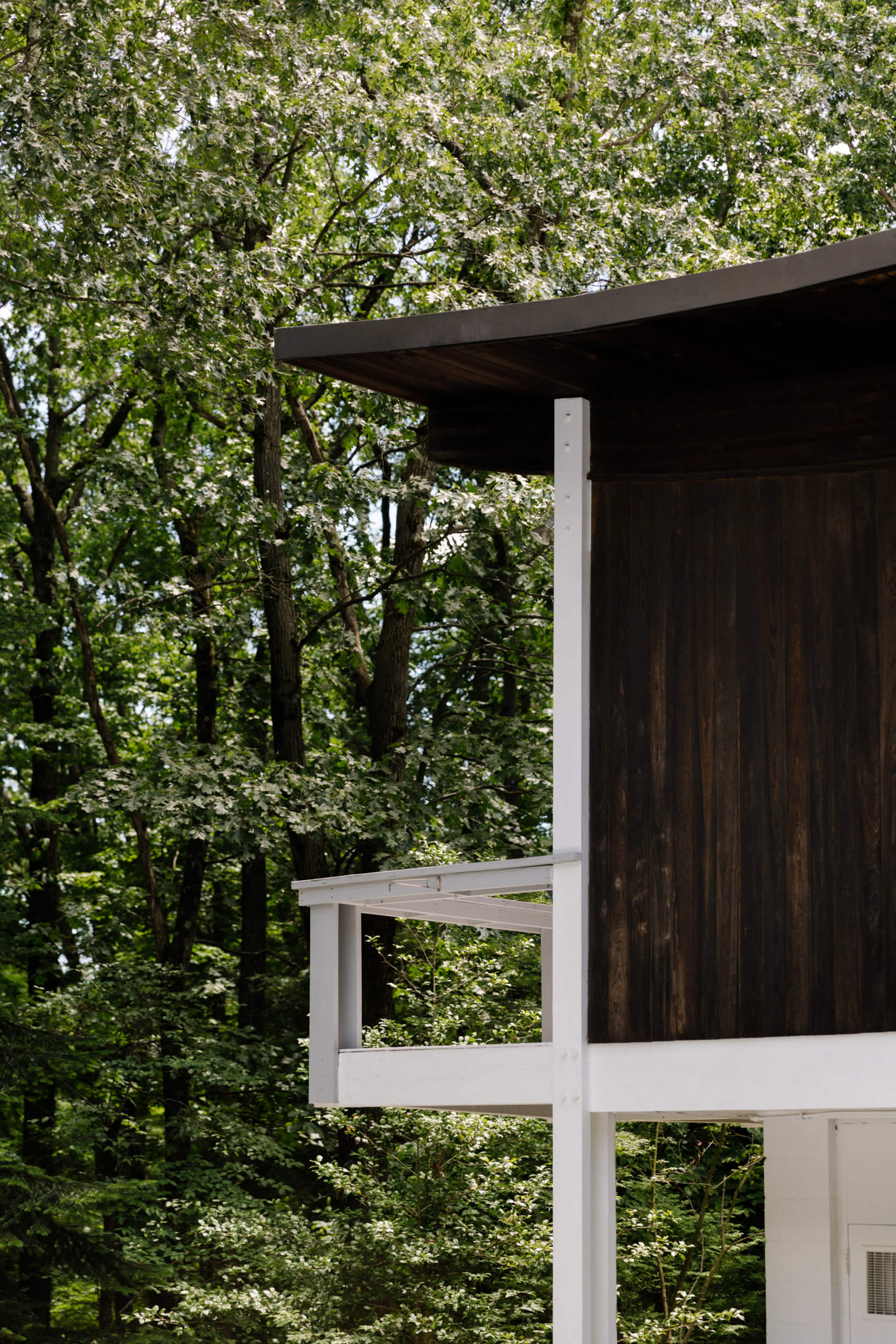 A modern house corner is visible, with a wooden facade partially surrounded by lush green trees.