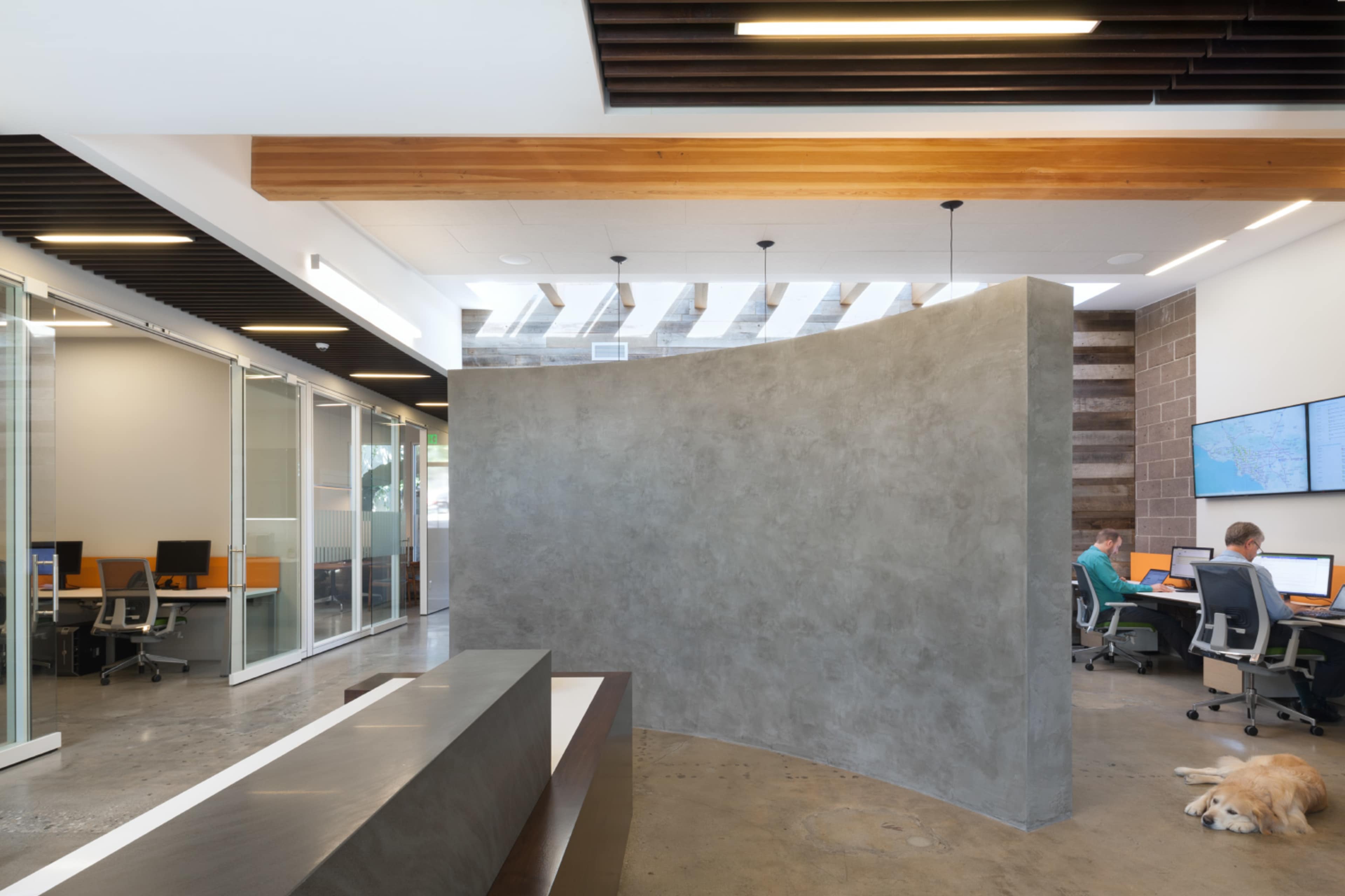 A modern office space featuring a curved concrete wall, glass-enclosed workstations, two individuals at computers, and a dog resting on the floor.