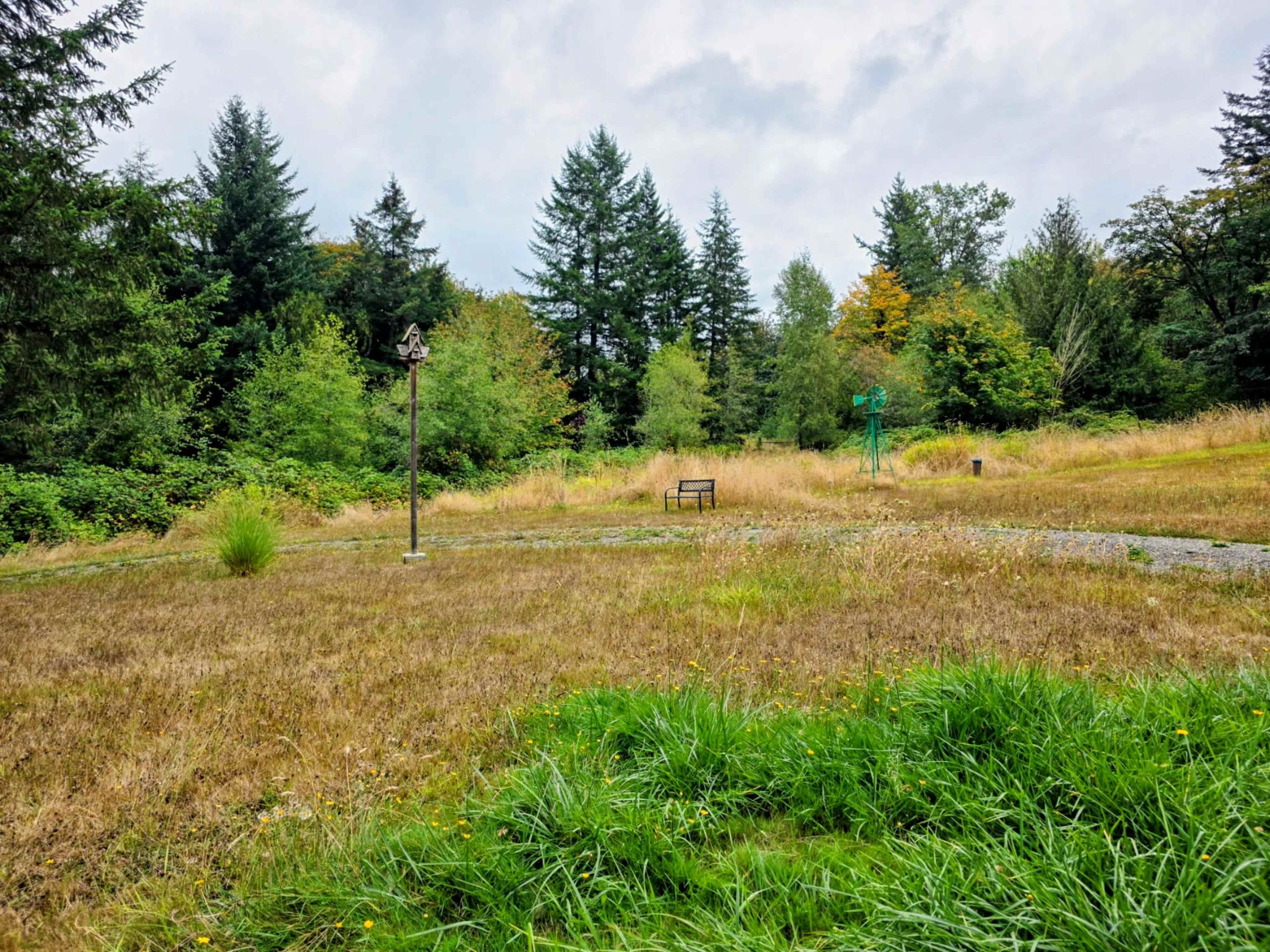 A bench is positioned in a grassy clearing surrounded by trees and shrubs in a park setting.