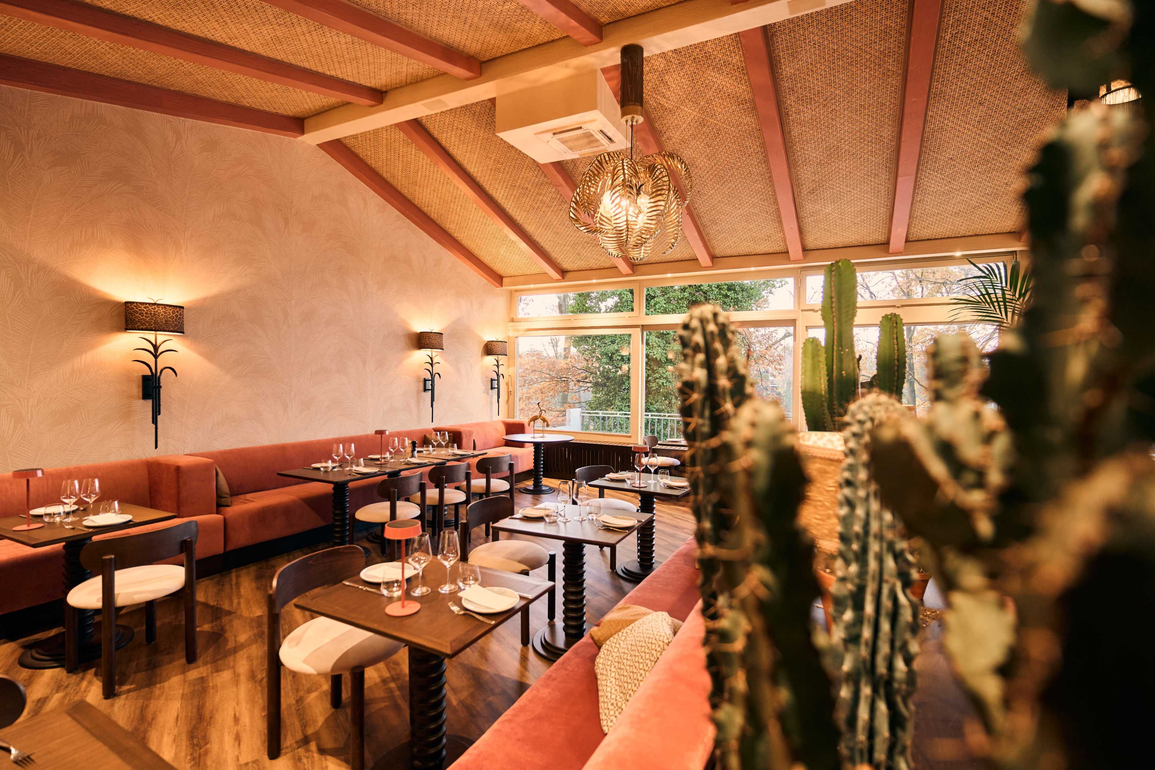 The image shows a stylish restaurant interior featuring woven ceiling details, plush seating, and tall cacti adding a natural element to the decor.