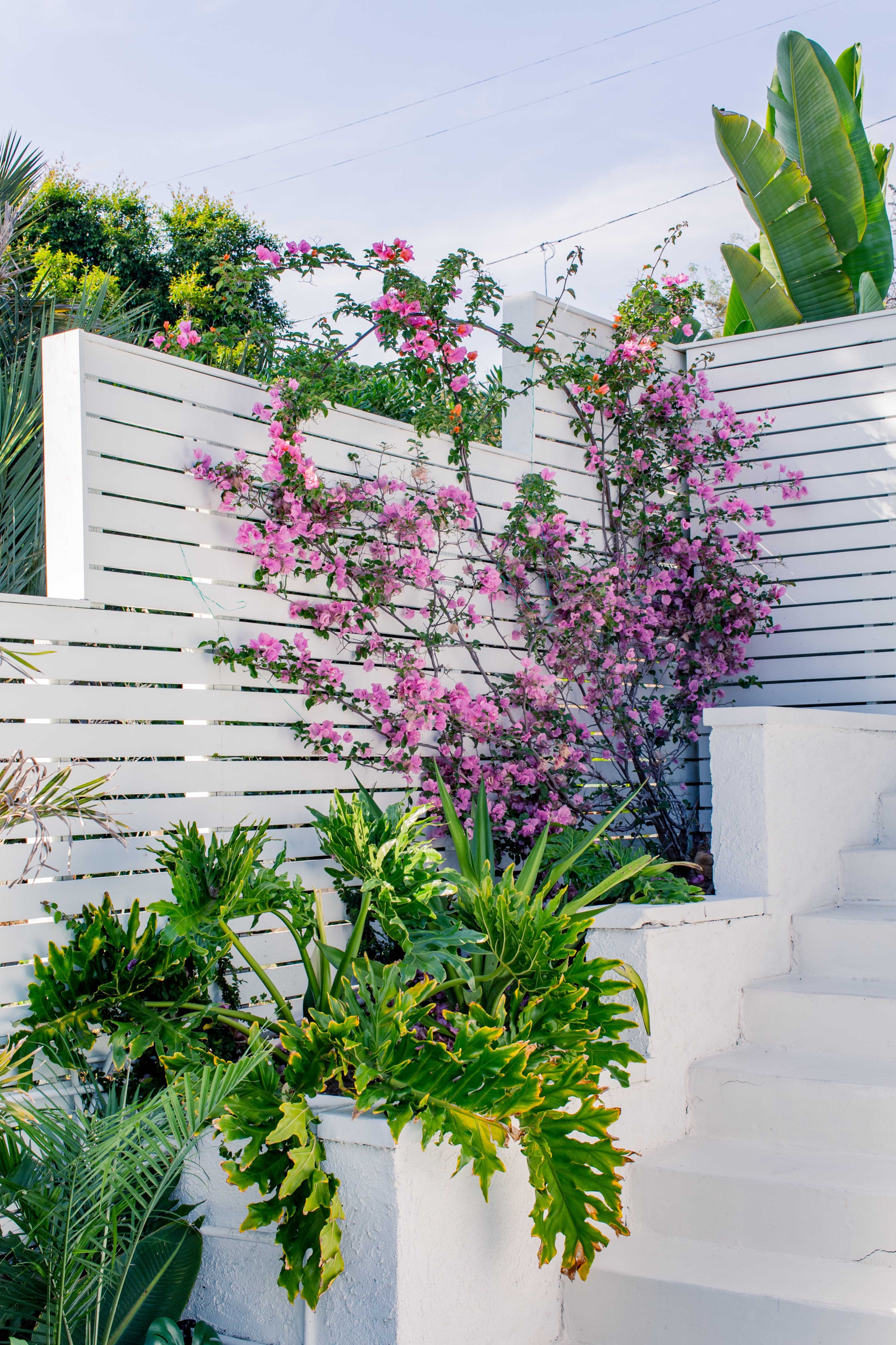 A white wooden fence surrounds a staircase adorned with various flowering plants and greenery.