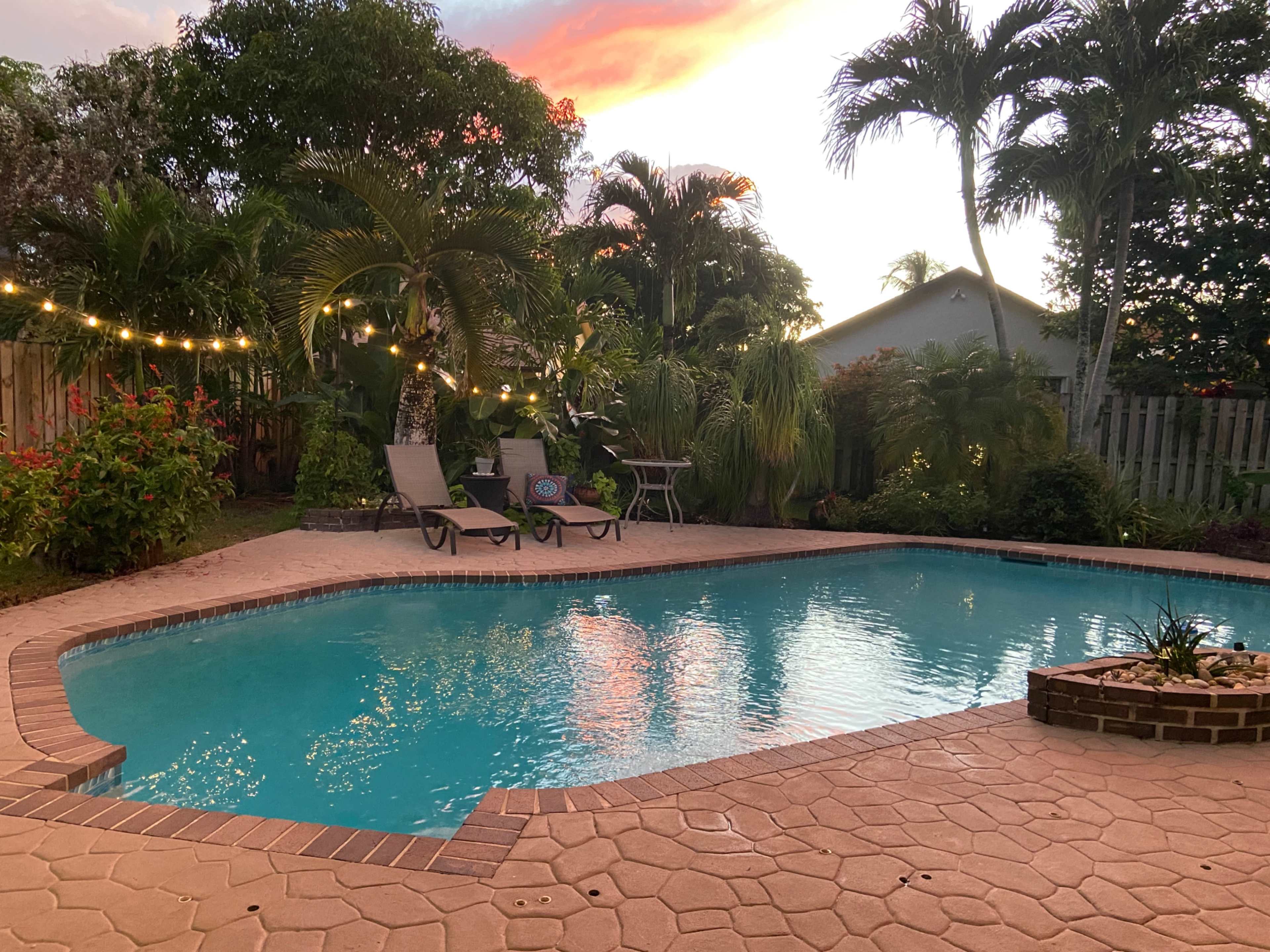 The image shows a serene backyard pool surrounded by palm trees and decorative string lights during sunset.