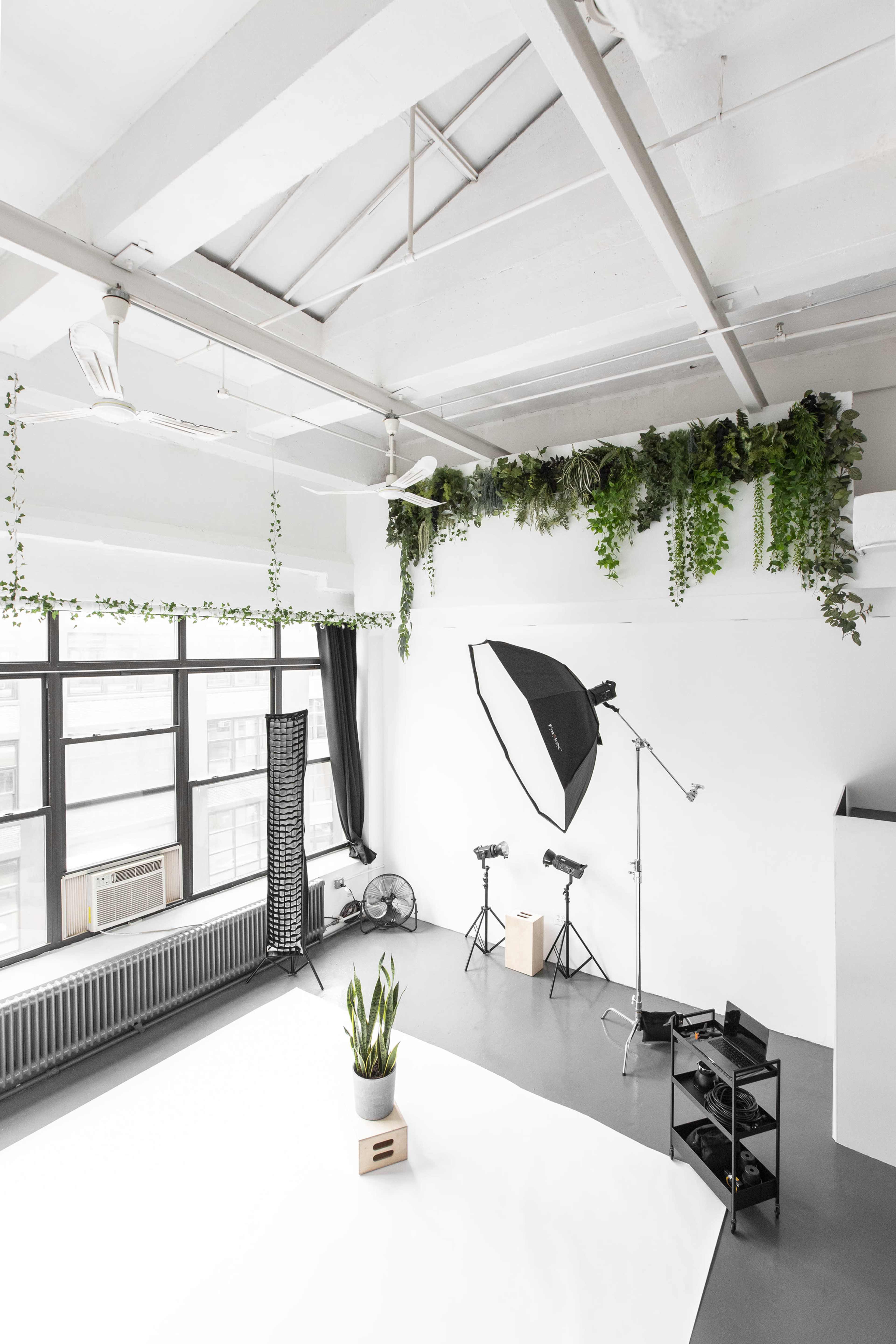 A bright studio space features a white backdrop, professional lighting equipment, and potted plants suspended from the ceiling.
