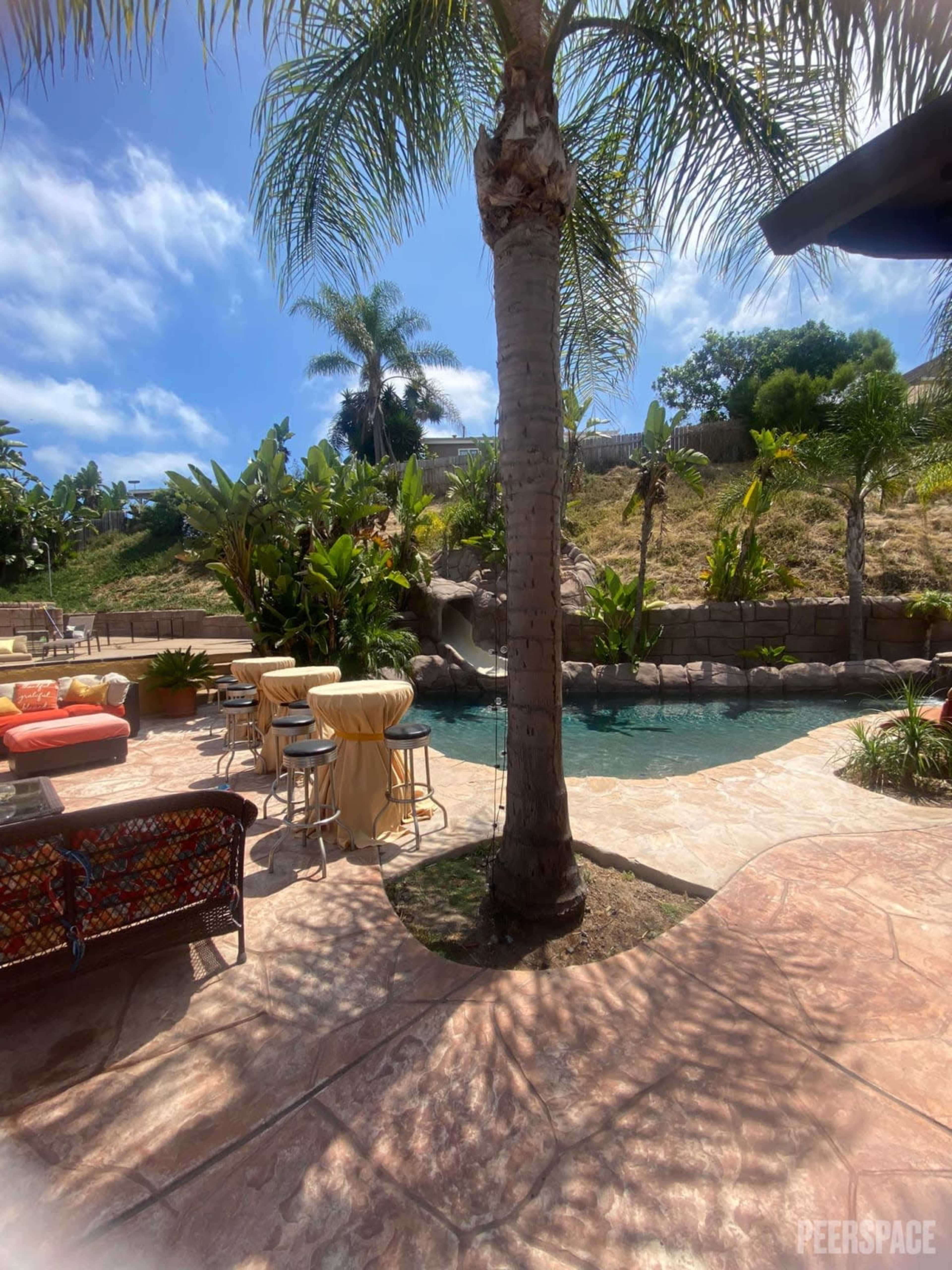 A backyard setting with a swimming pool surrounded by palm trees, lounge chairs, and a rocky hillside in the background.