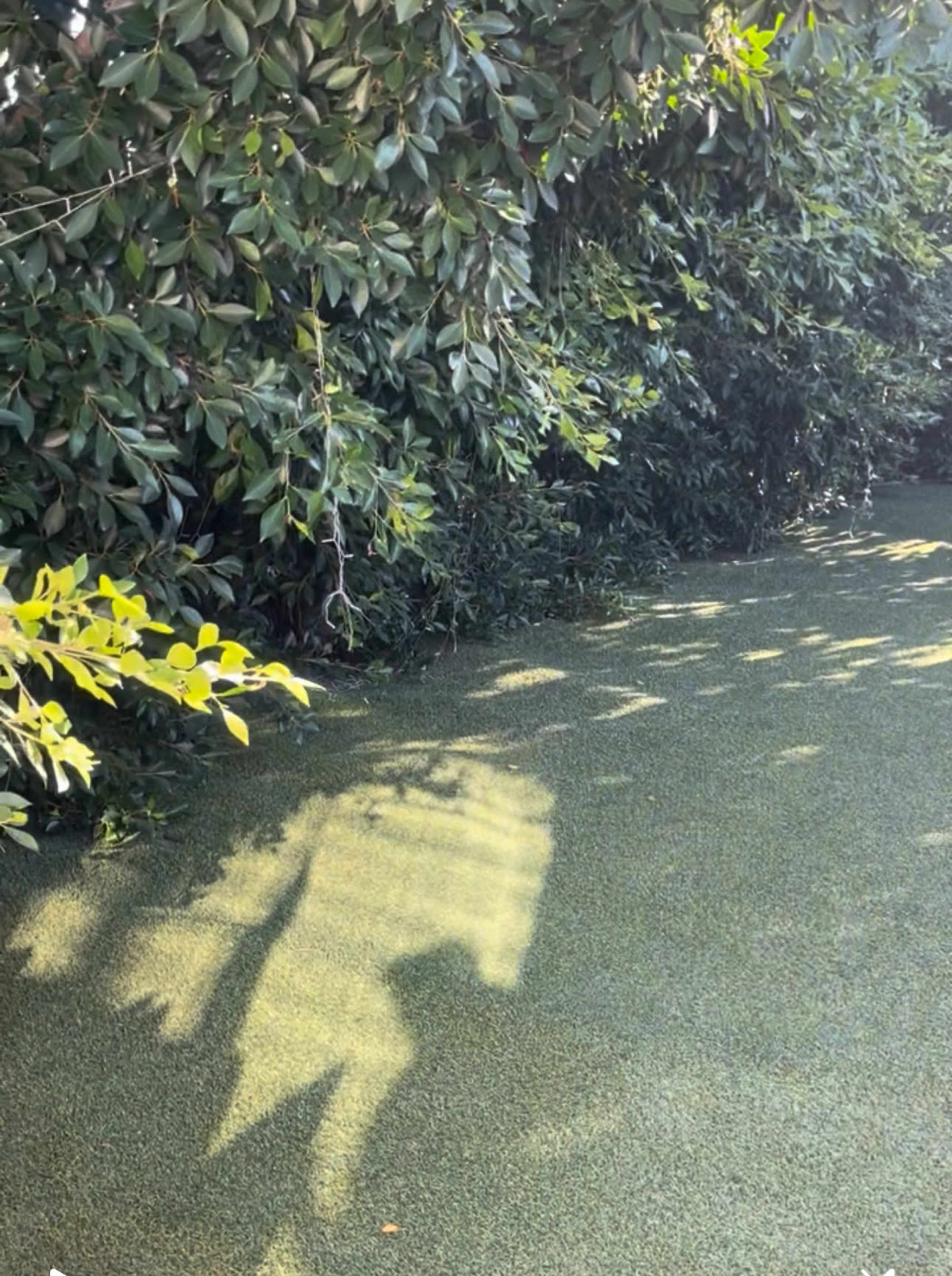 The image shows a patch of green artificial grass illuminated by sunlight, with shadows cast from nearby foliage.