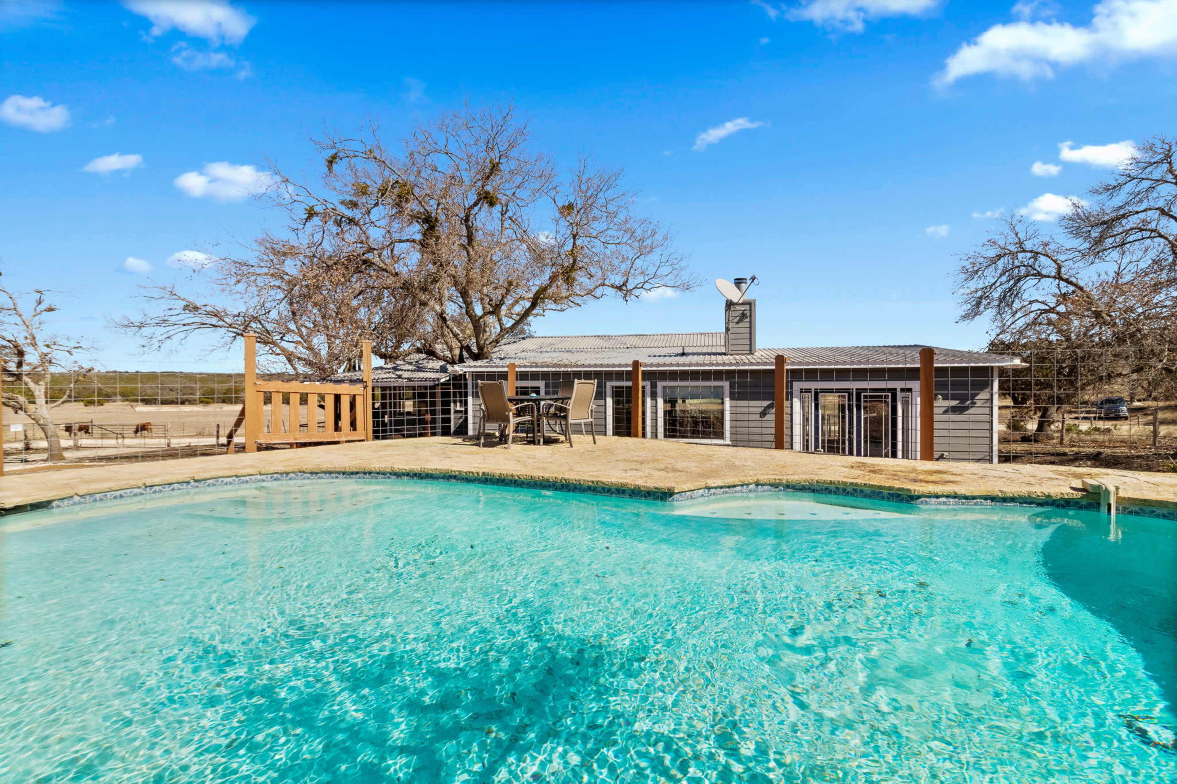 A clear swimming pool in the foreground with a modern house and bare trees in the background under a blue sky.