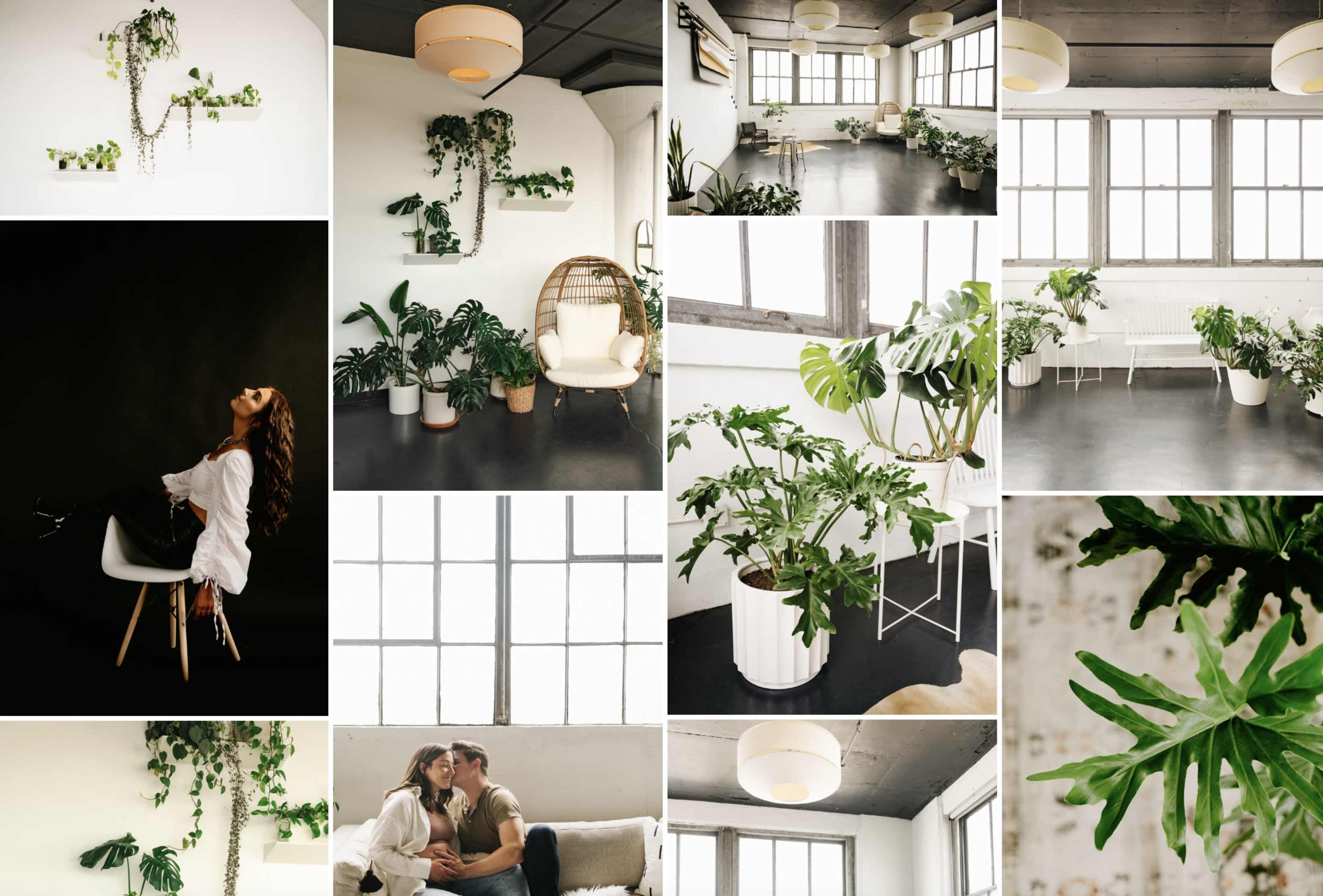 The image showcases a collage of various indoor spaces featuring an abundance of plants, natural light from large windows, and minimalist furniture arrangements.