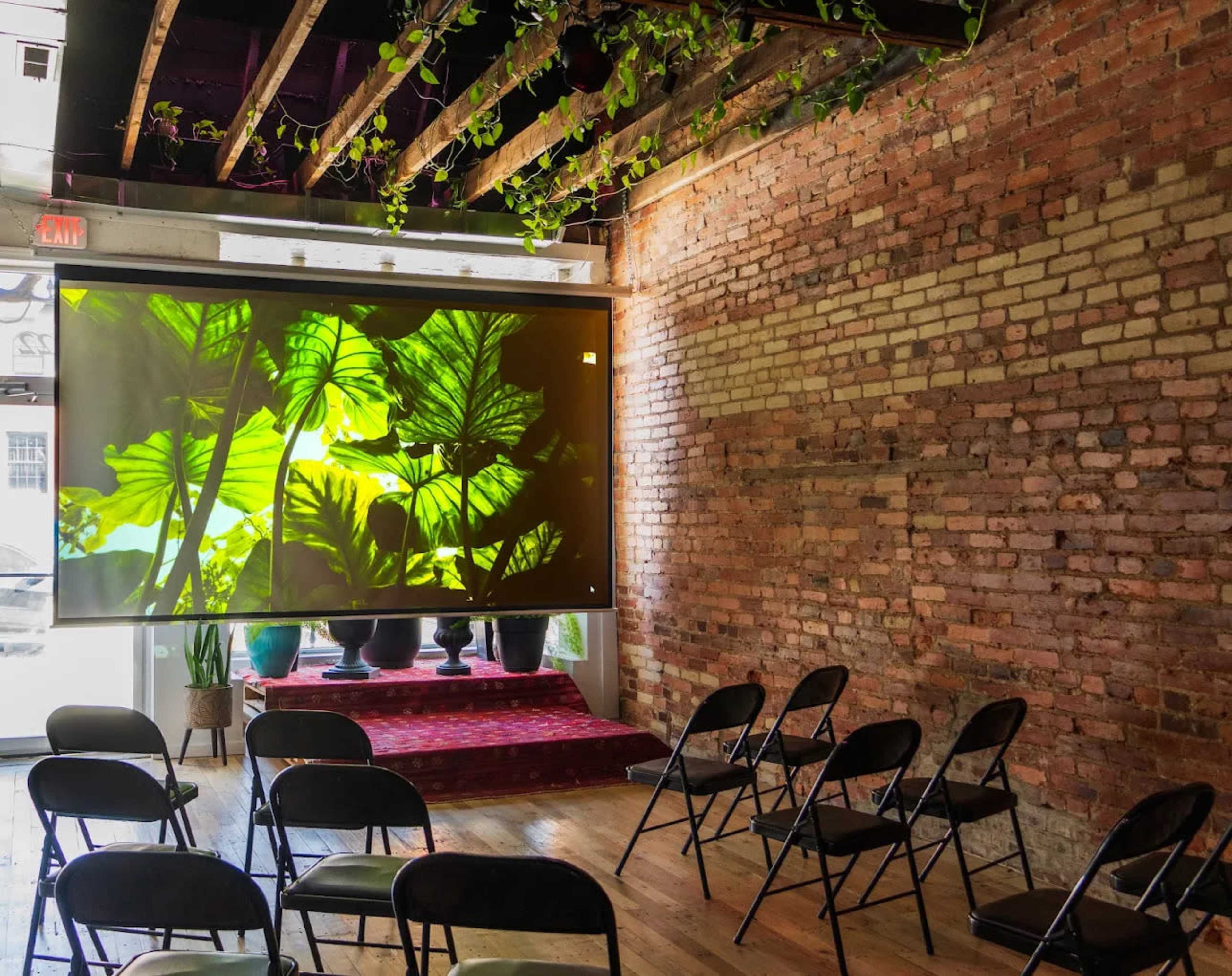 A large projection screen displaying leafy plants is mounted on a brick wall, with black folding chairs arranged in front of it in a semi-circle.