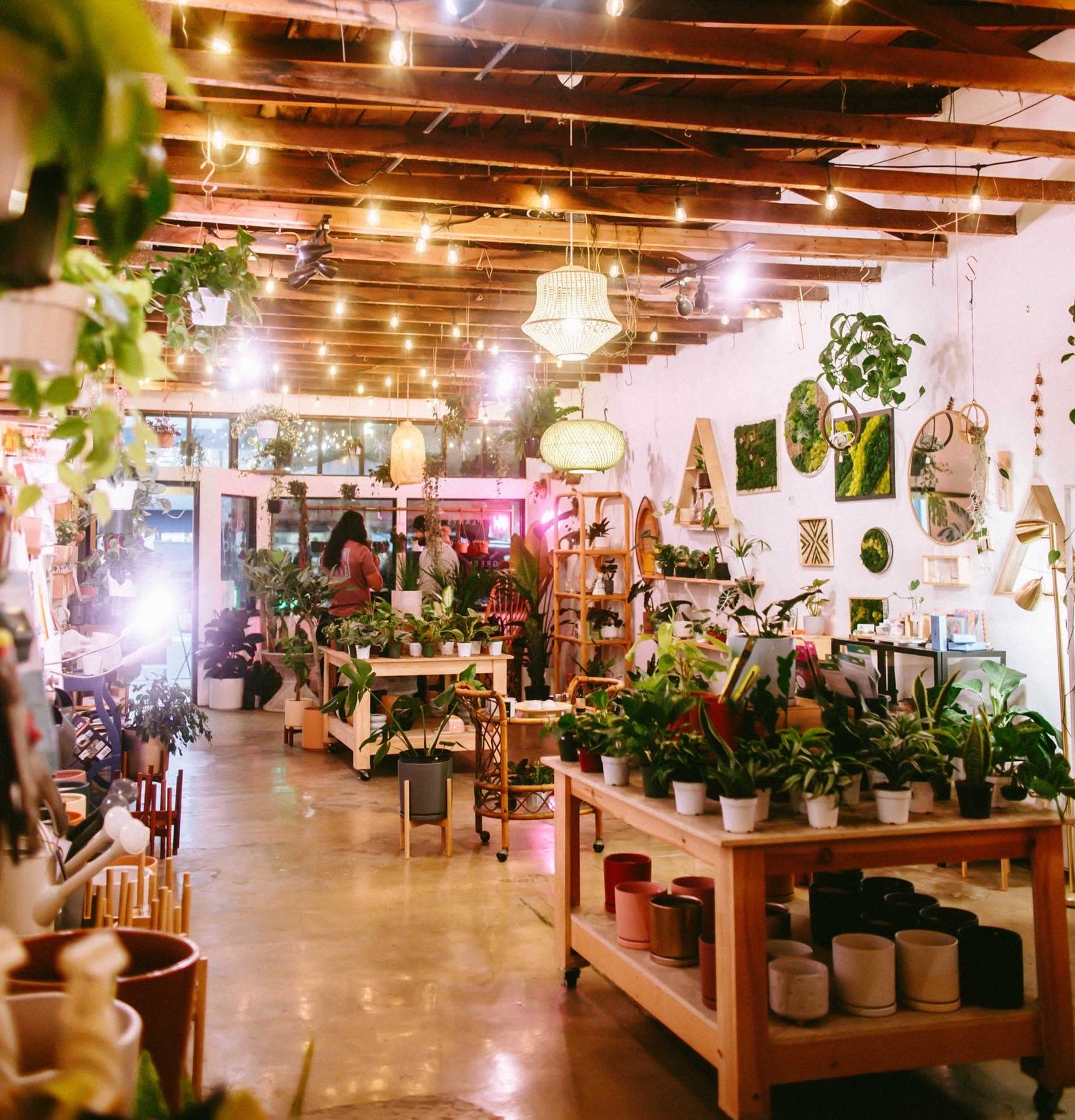 A spacious plant shop features wooden tables filled with various potted plants, surrounded by decorative items and string lights hanging from the ceiling.