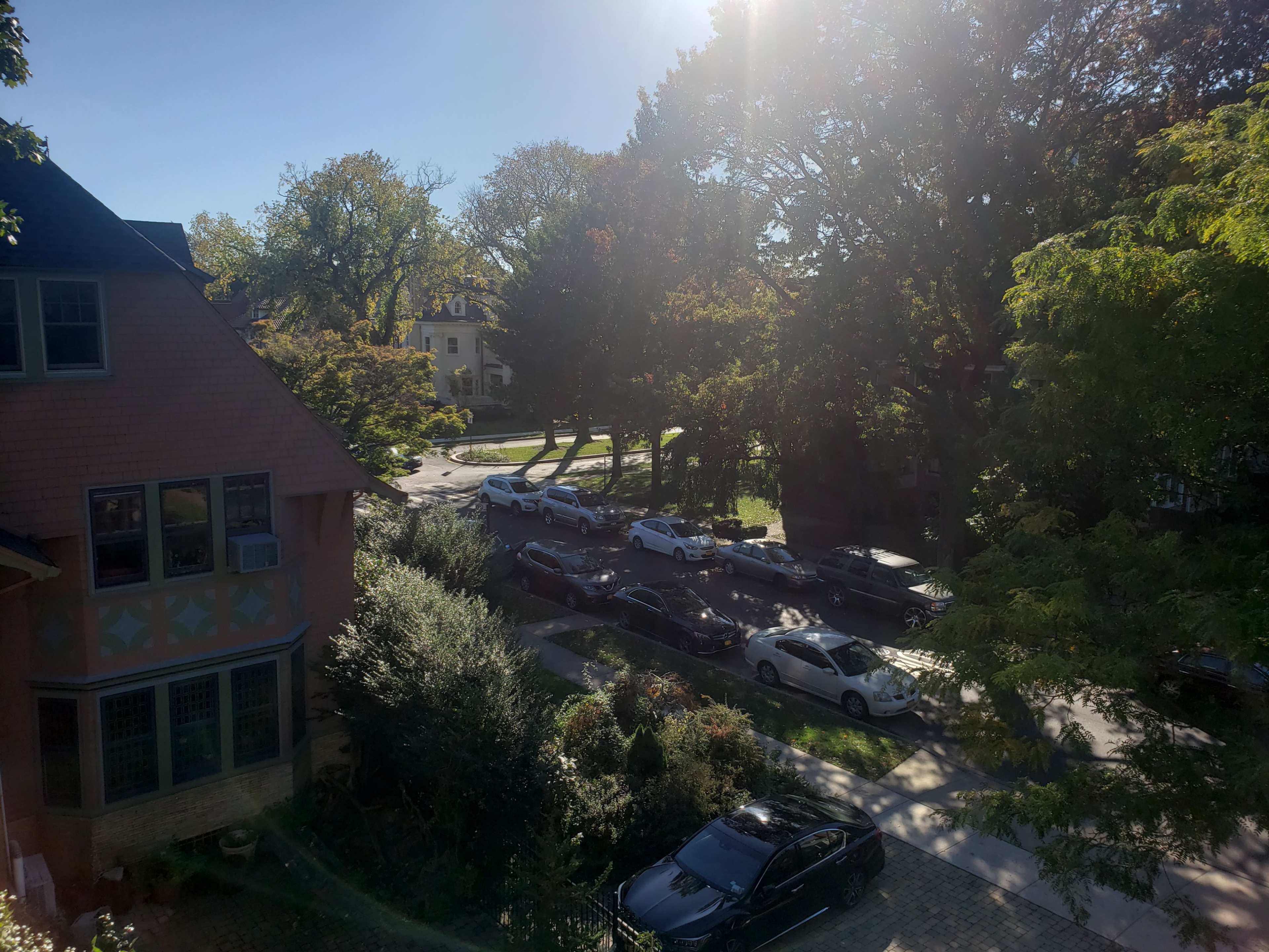The image shows a view of a tree-lined street with parked cars along the curb and residential houses in the background.