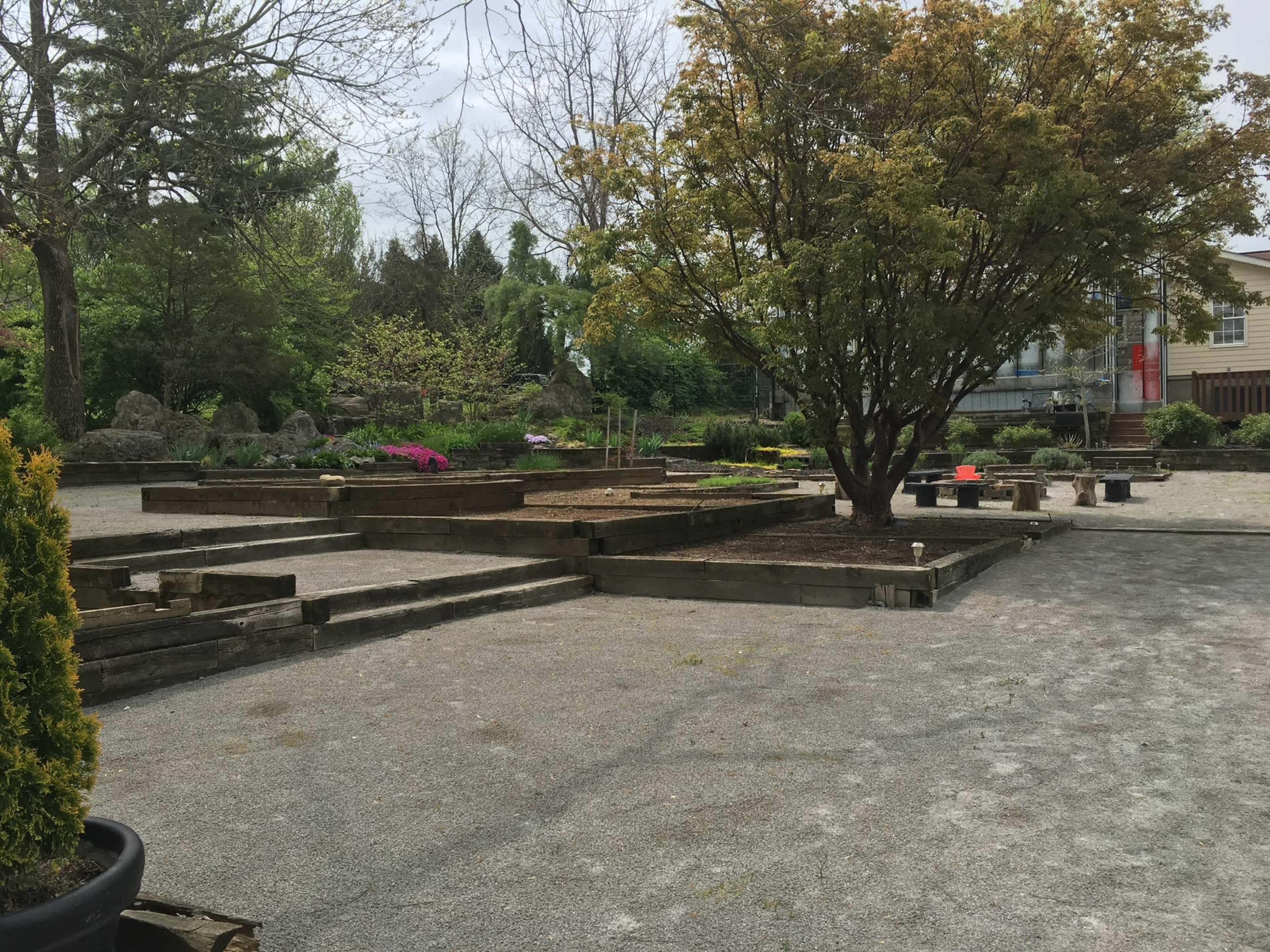 A garden area with raised wooden planters, surrounded by greenery and trees, on a gravel path.