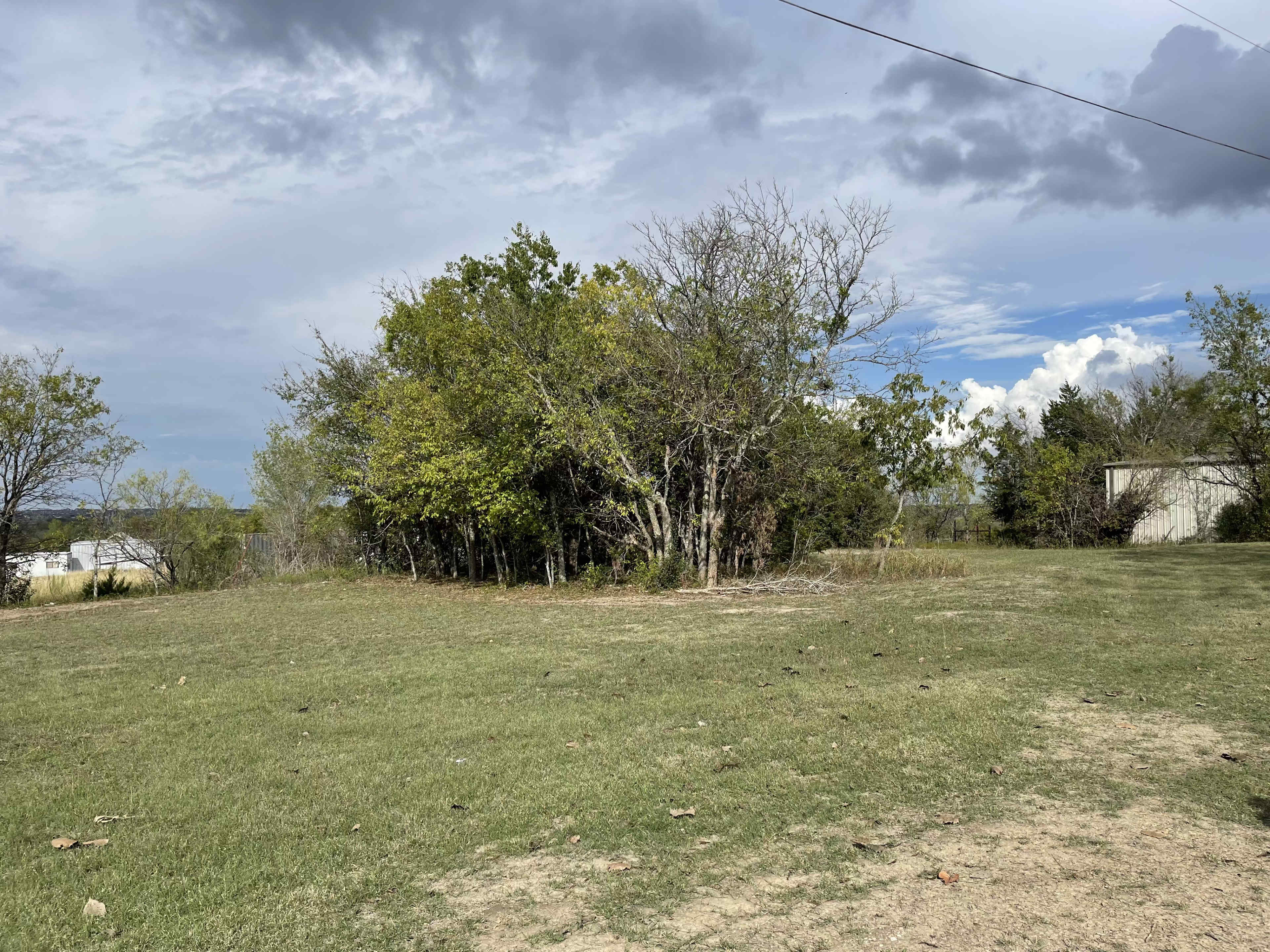 A cluster of trees is situated on a grassy area near a body of water, with a cloudy sky overhead.