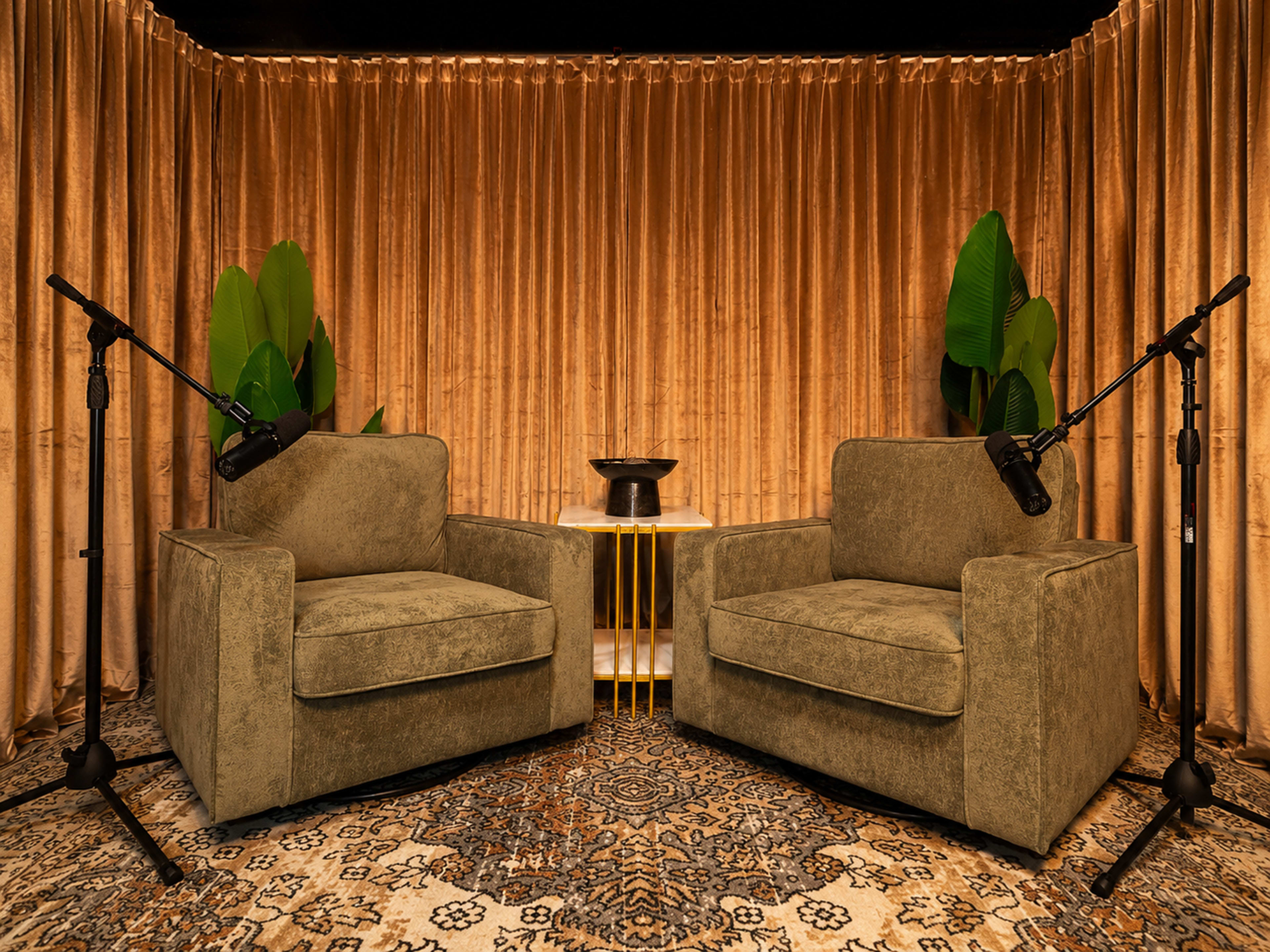 The image features two green armchairs positioned facing each other in front of a curtain, with microphones on stands nearby and potted plants in the background.