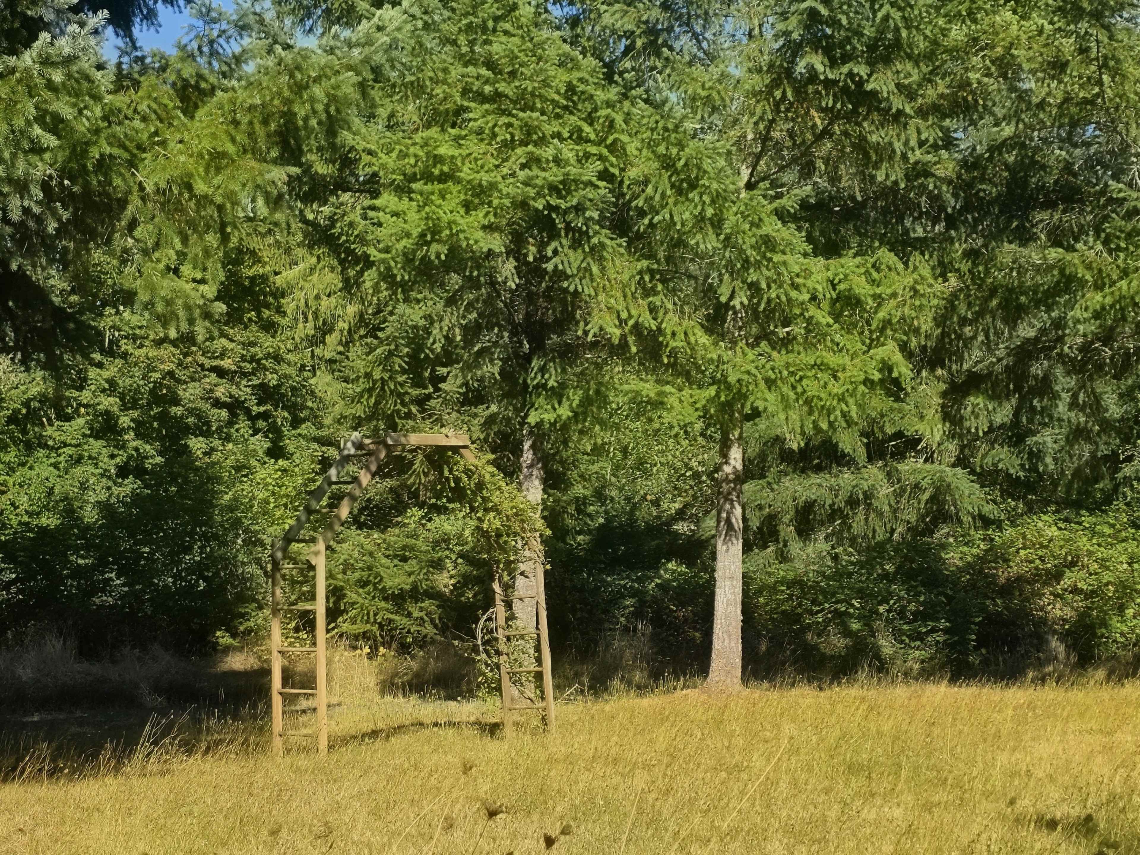 A wooden arch stands between two tall trees in a grassy field.