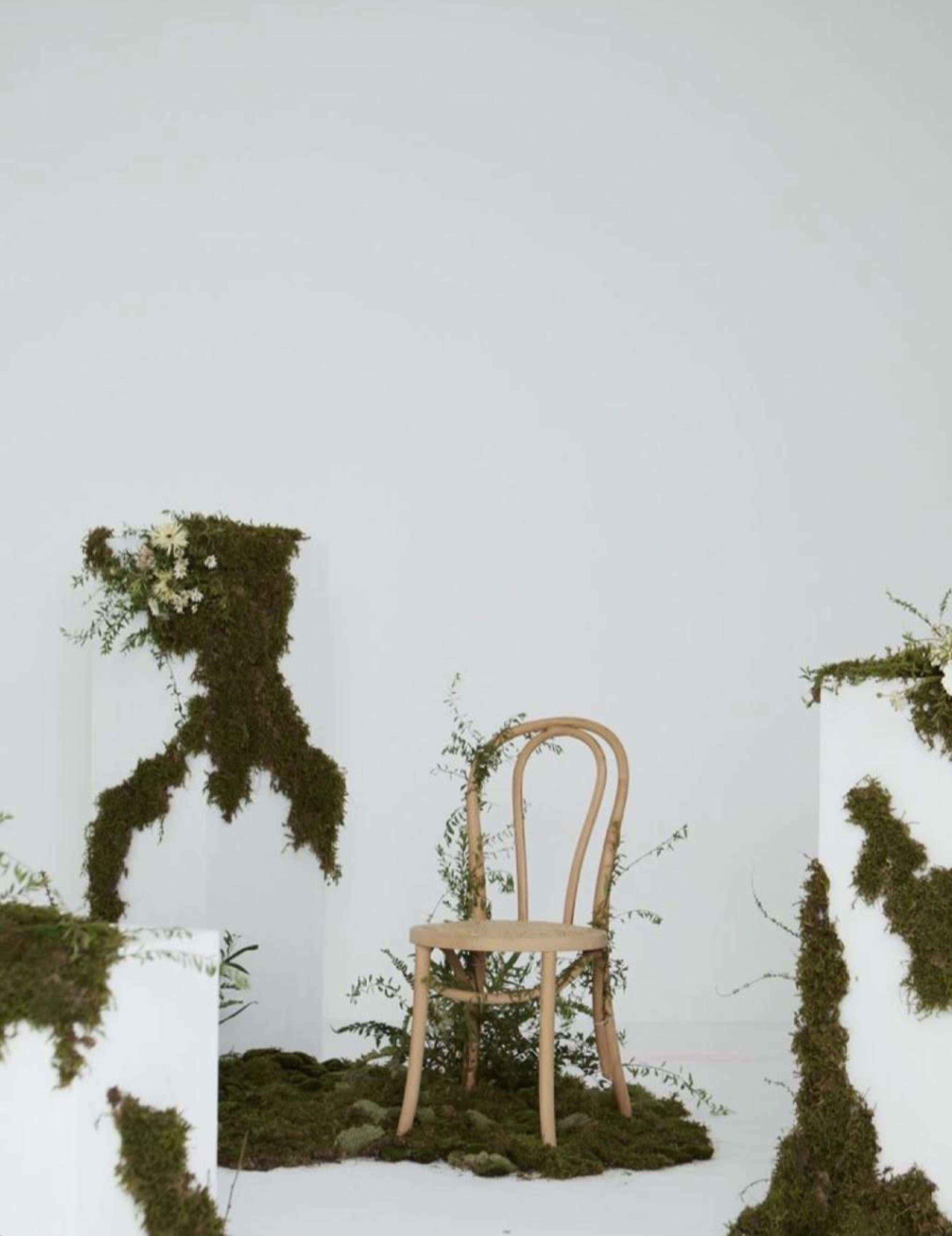 Clearshot Creative Lab Image in North Lauderdale, Fort Lauderdale, FL