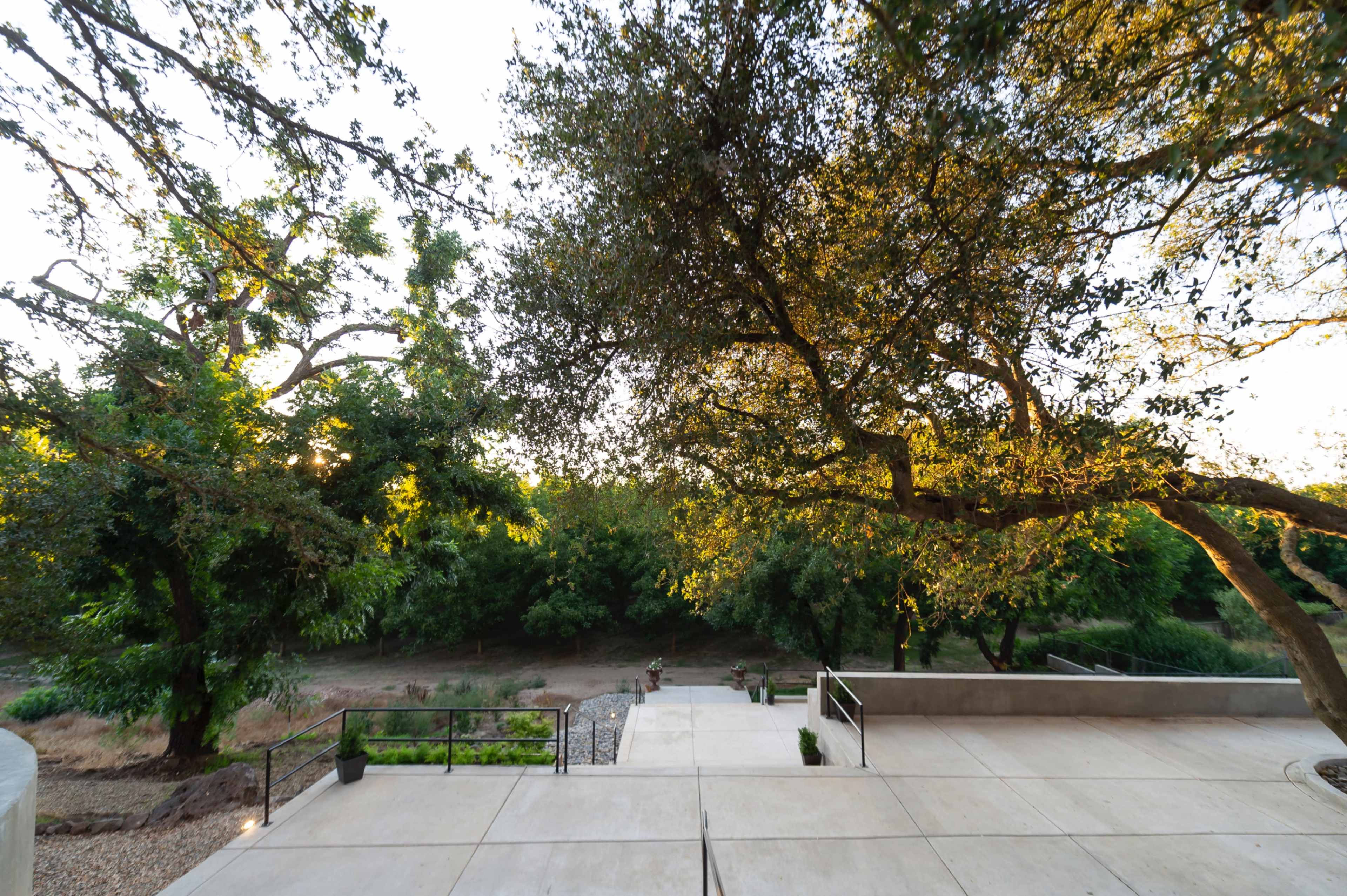 A concrete patio with steps leads down to a wooded area filled with trees.