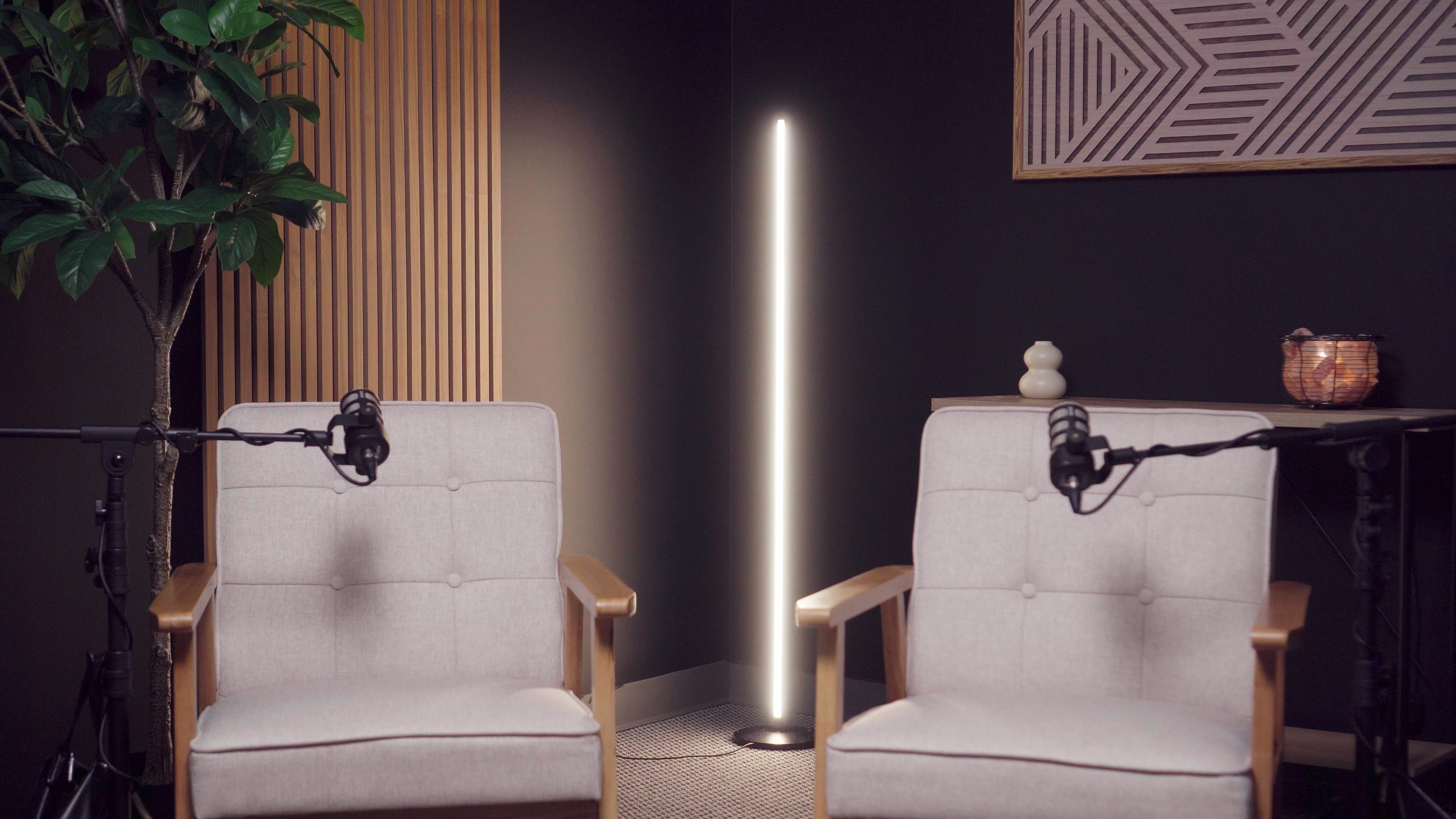 Mid-century Modern Podcast Studio Image in Milton Township, Wheaton, IL