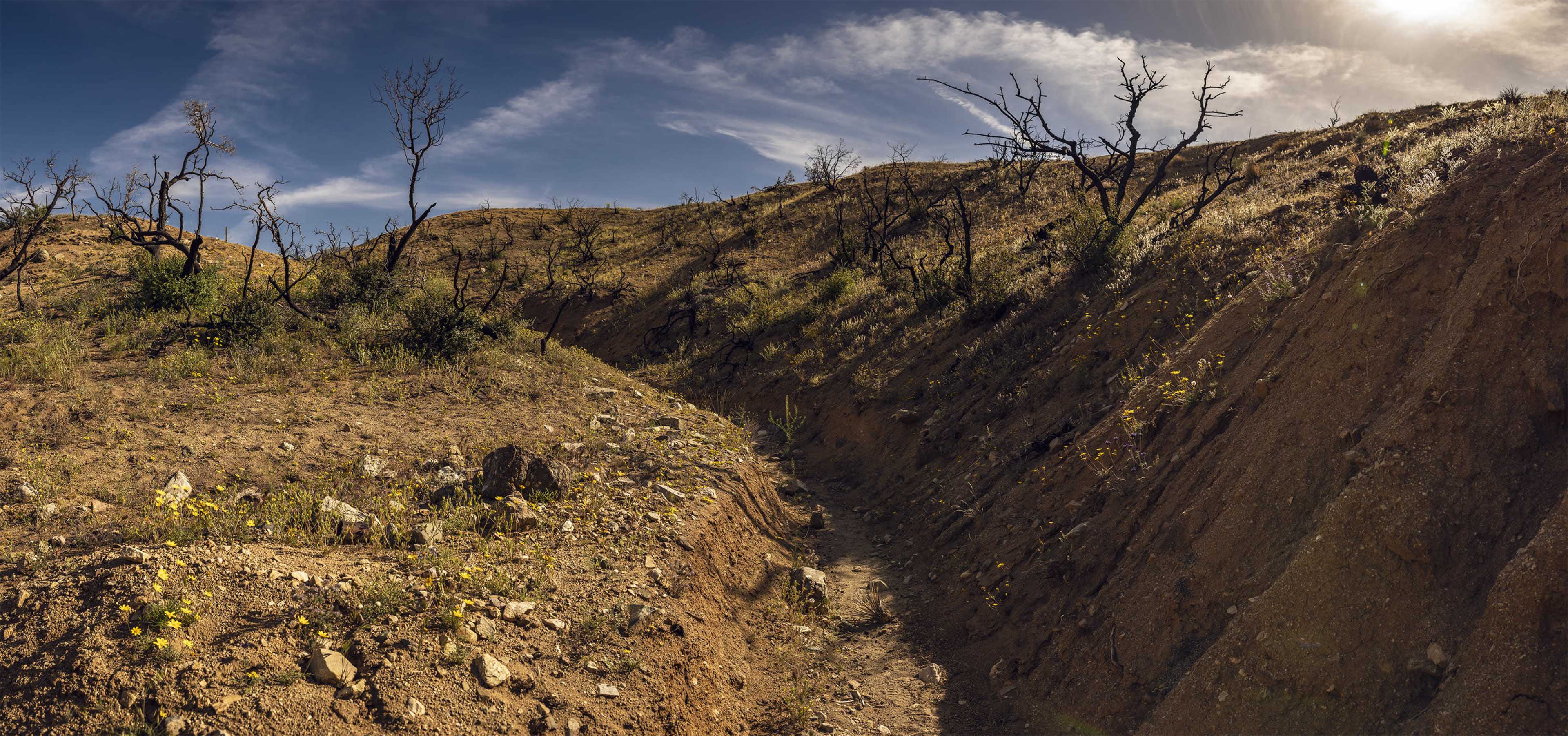 The image shows a dry, uneven hillside with sparse vegetation and bare trees under a blue sky.