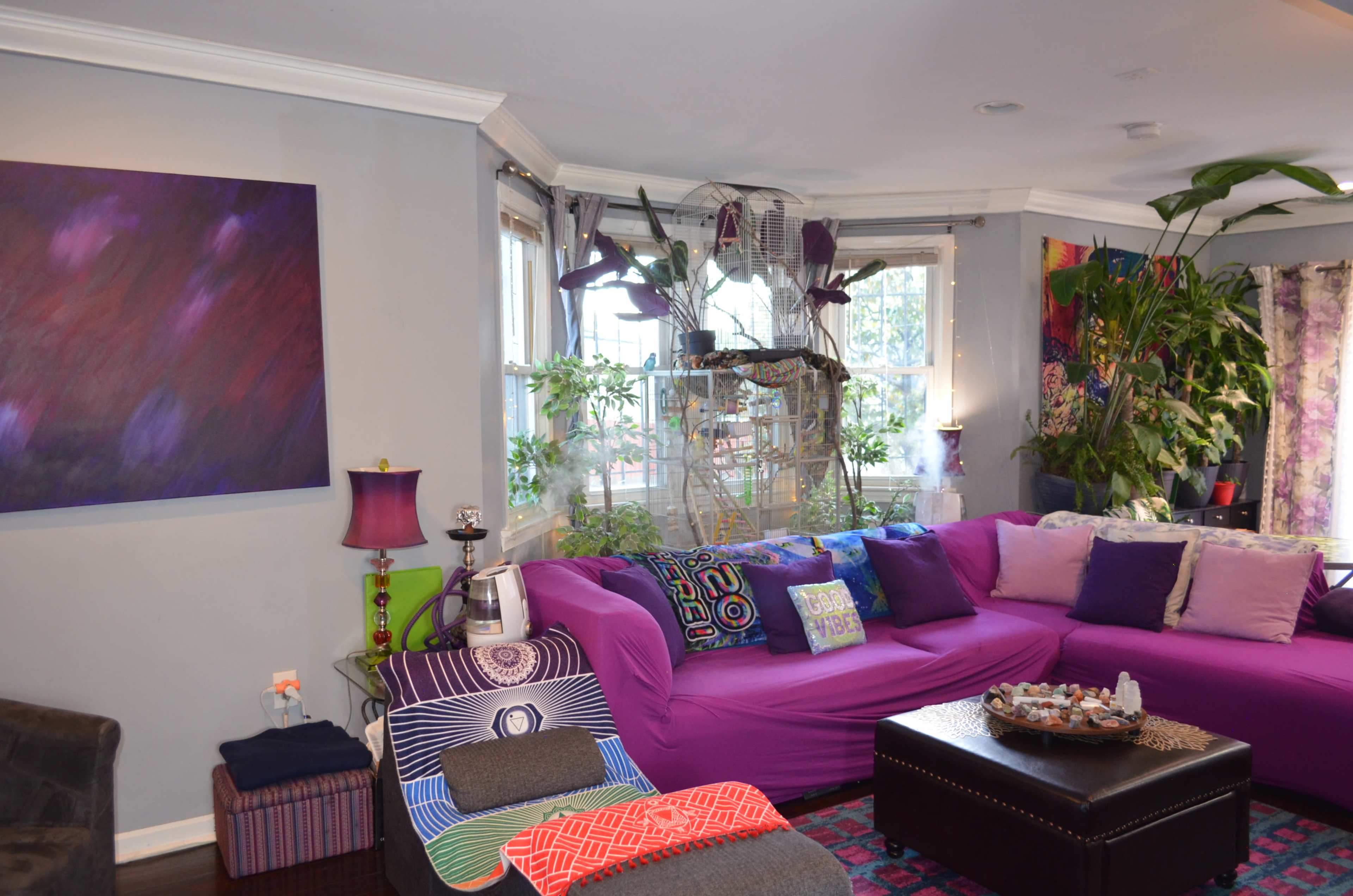 The living room features a purple couch, various plants, and colorful artwork, with a birdcage positioned near large windows.