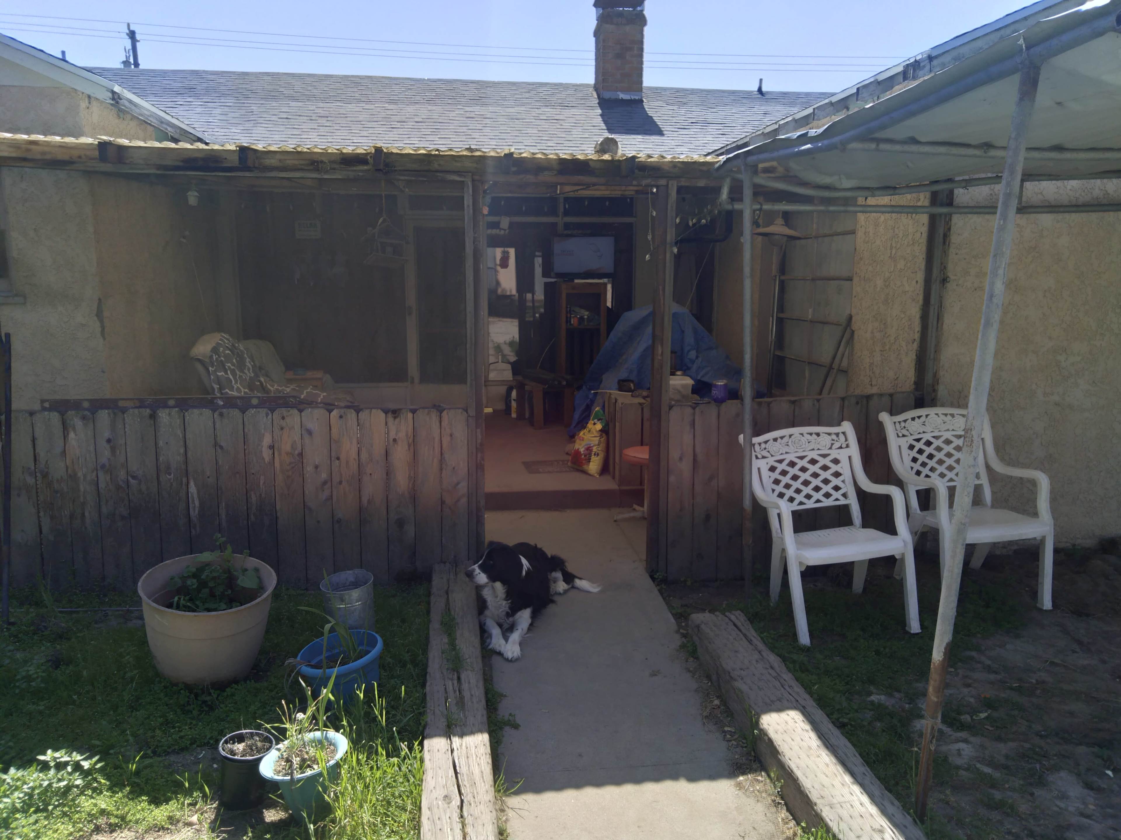 A dog lies on the stone path leading to a screened entrance of a house, with potted plants and outdoor seating visible.