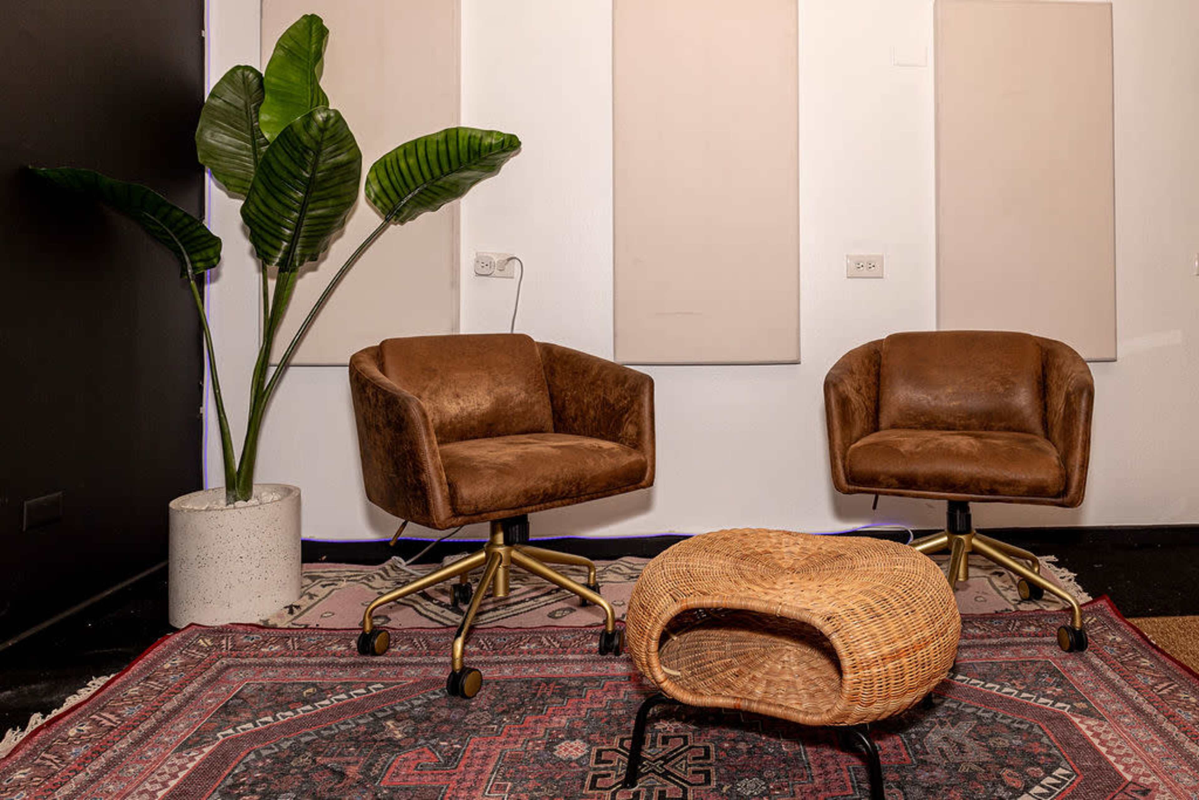 The image shows a small seating area with two brown chairs, a round wicker table, and a large potted plant, all set against a backdrop of wall panels.